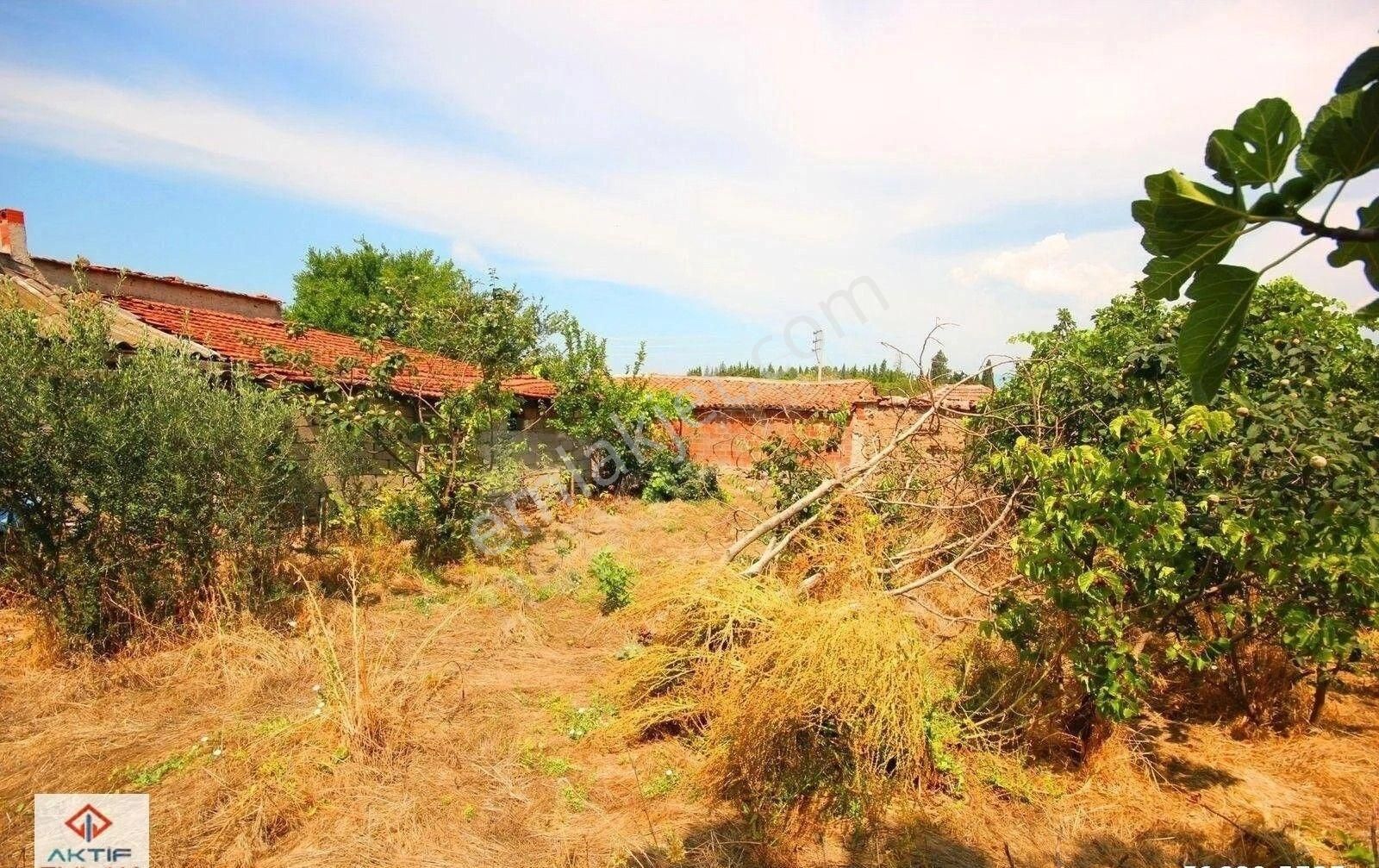 🟥🟥 Aktif'ten Burhaniye Börezli'de 458m2 Arsa İçerisinde Tadilatlı Satılık Müstakil Ev🟥🟥