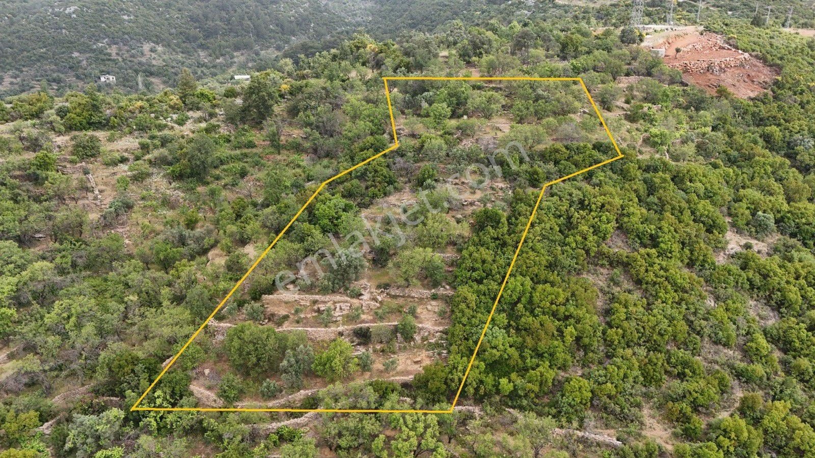 Alanya Orhanda Satılık 2.950 M2 Müstakil Tarla