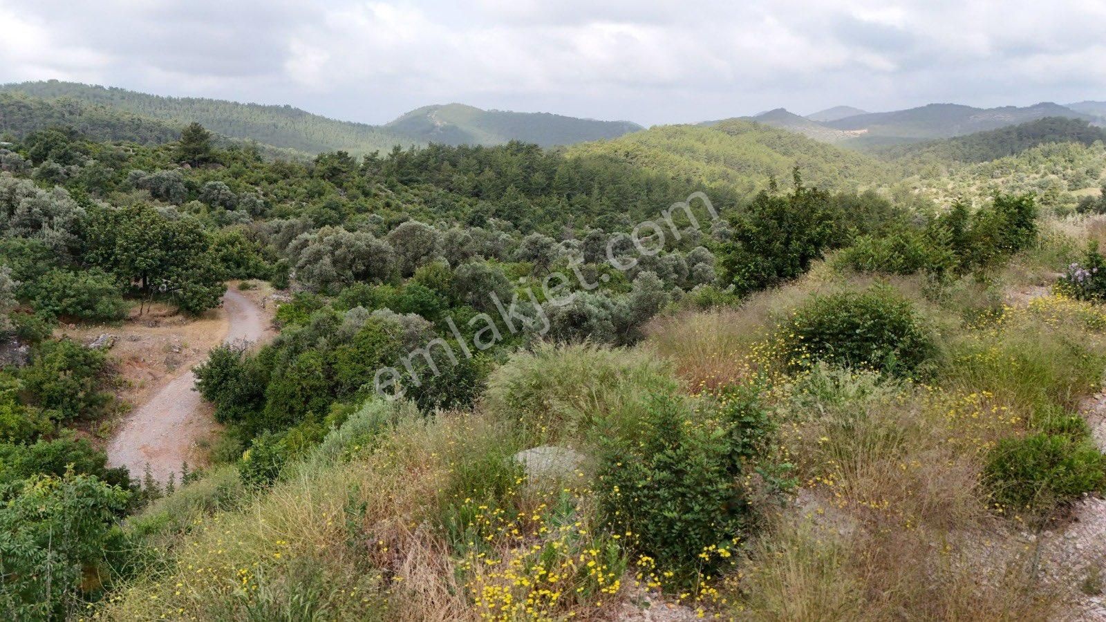 Alanya Karamanlarda Satılık 1.770 M2 Müstakil Tarla - Görsel 17