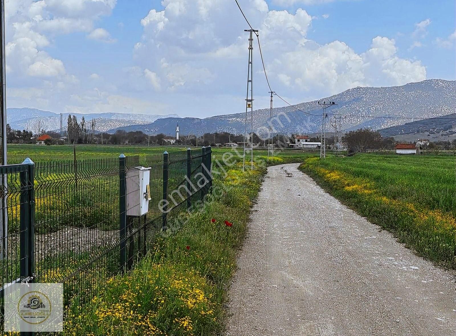 Yeşilyaylada 60 Agaçlık Bahçe Elektrik Su Var - Görsel 3