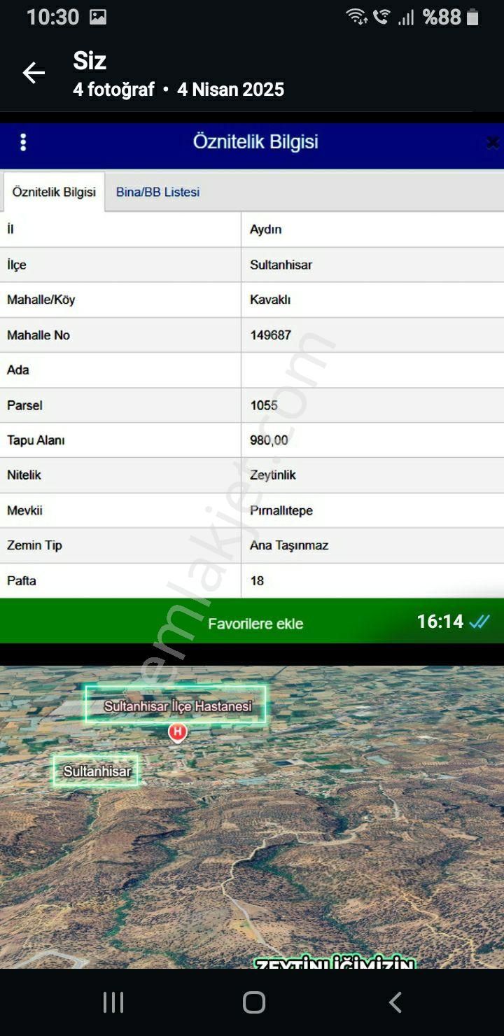 Aydın Sultanhisar Kavaklı Köyünde Fırsat Zeytinlik