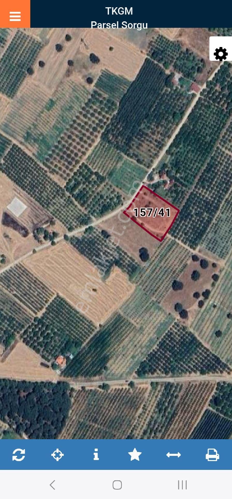 Denizli Yeniköyde Fırsat 4 Dönüm Satılık Tarla