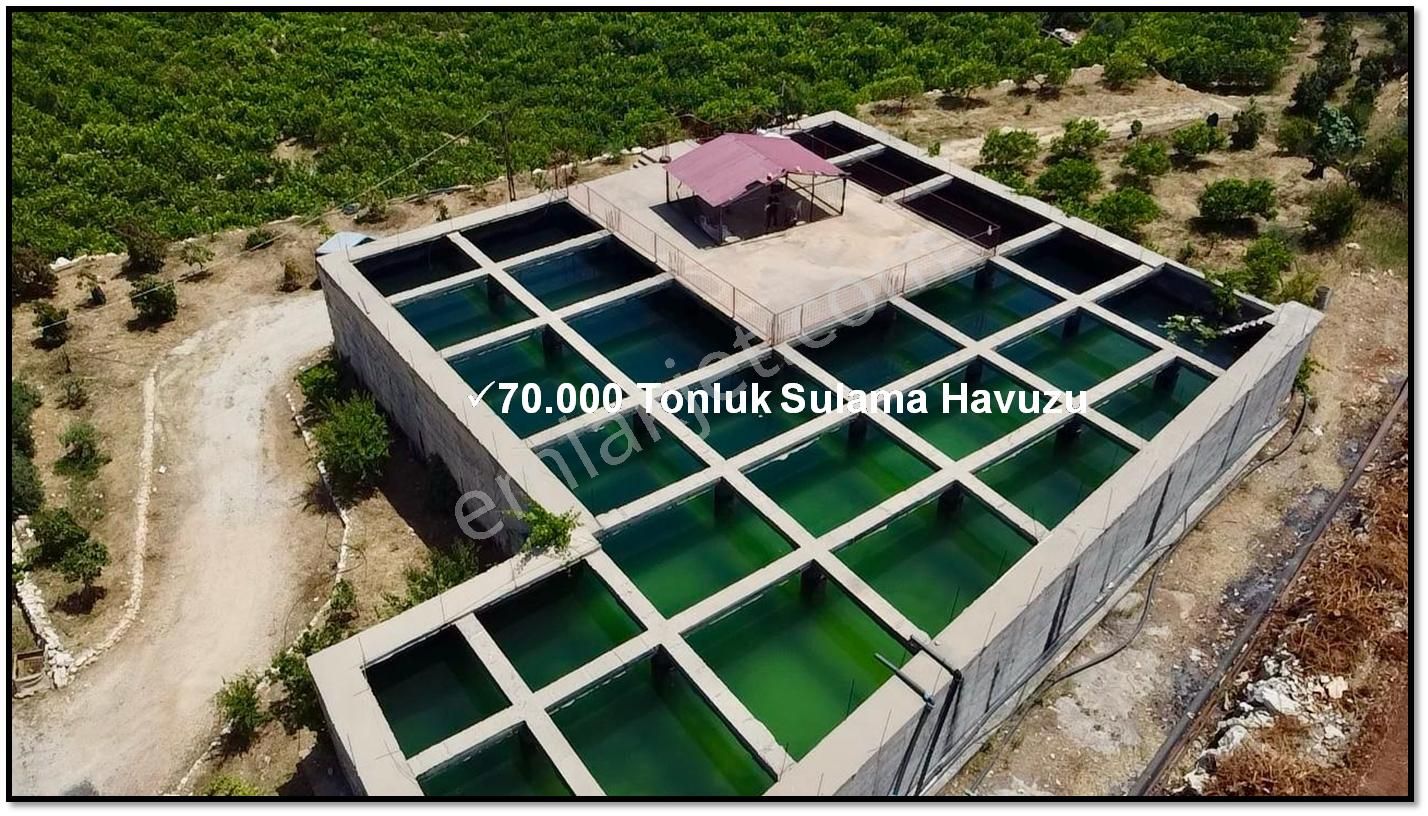 Erdemli Batısandal Da Deniz Manzaralı Satılık Limon Bahçesi - Görsel 15