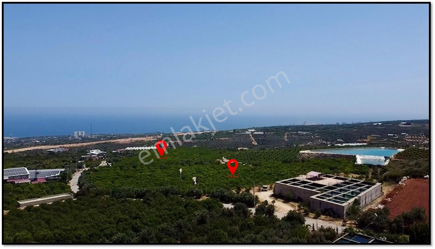Erdemli Batısandal Da Deniz Manzaralı Satılık Limon Bahçesi - Görsel 6