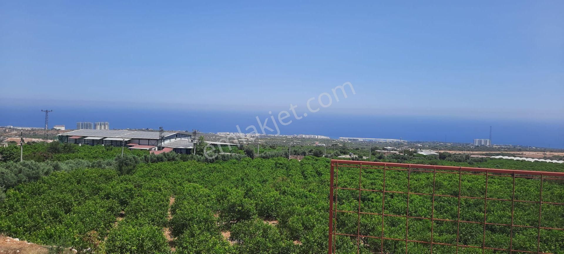 Erdemli Batısandal Da Deniz Manzaralı Satılık Limon Bahçesi - Görsel 9