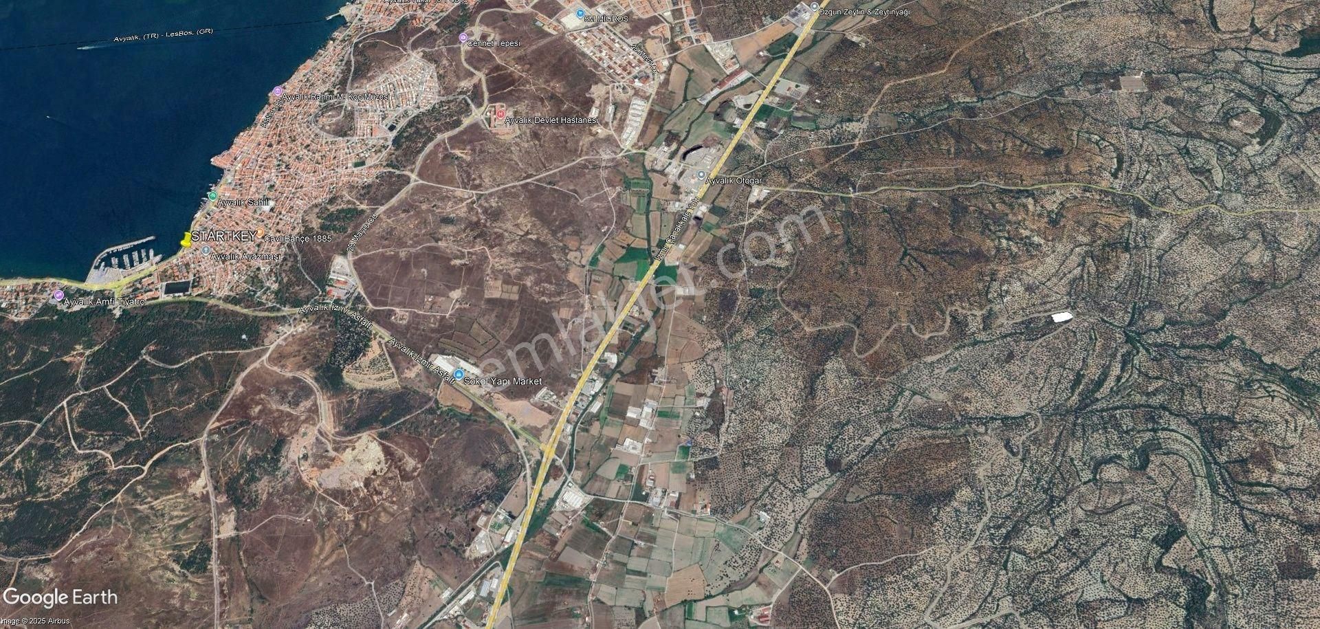 Ayvalık'ta Yol Kenarı Konumlu Kaçırılmayacak Fiyata Zeytinlik