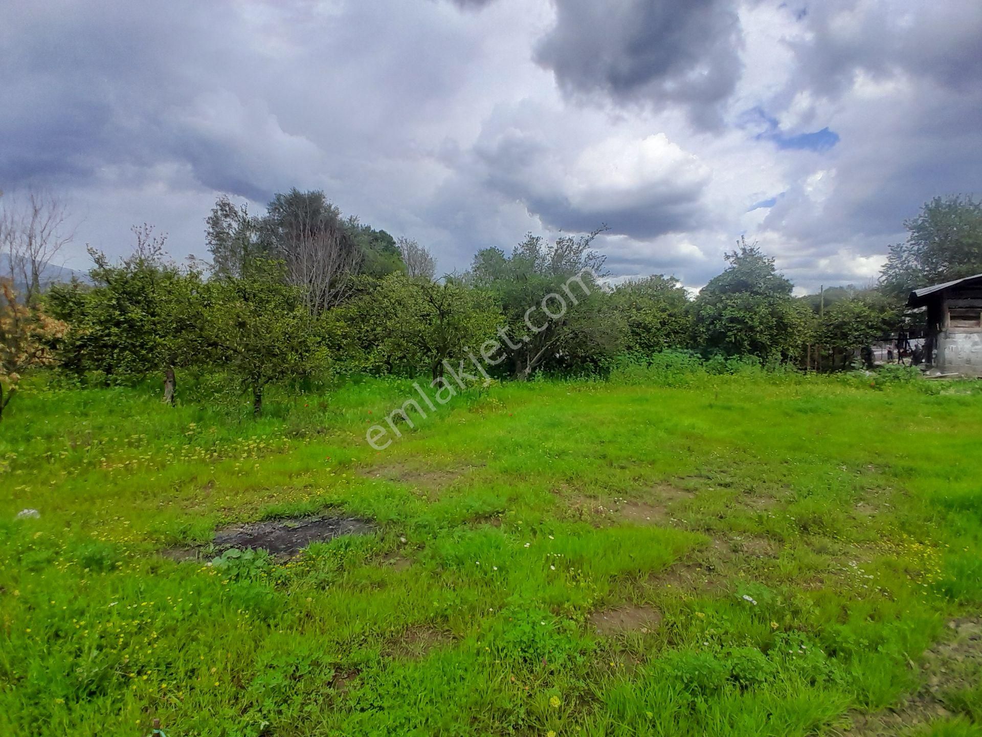 Köyceğiz Beyobası Mah. Satılık 604 M2 Arsa