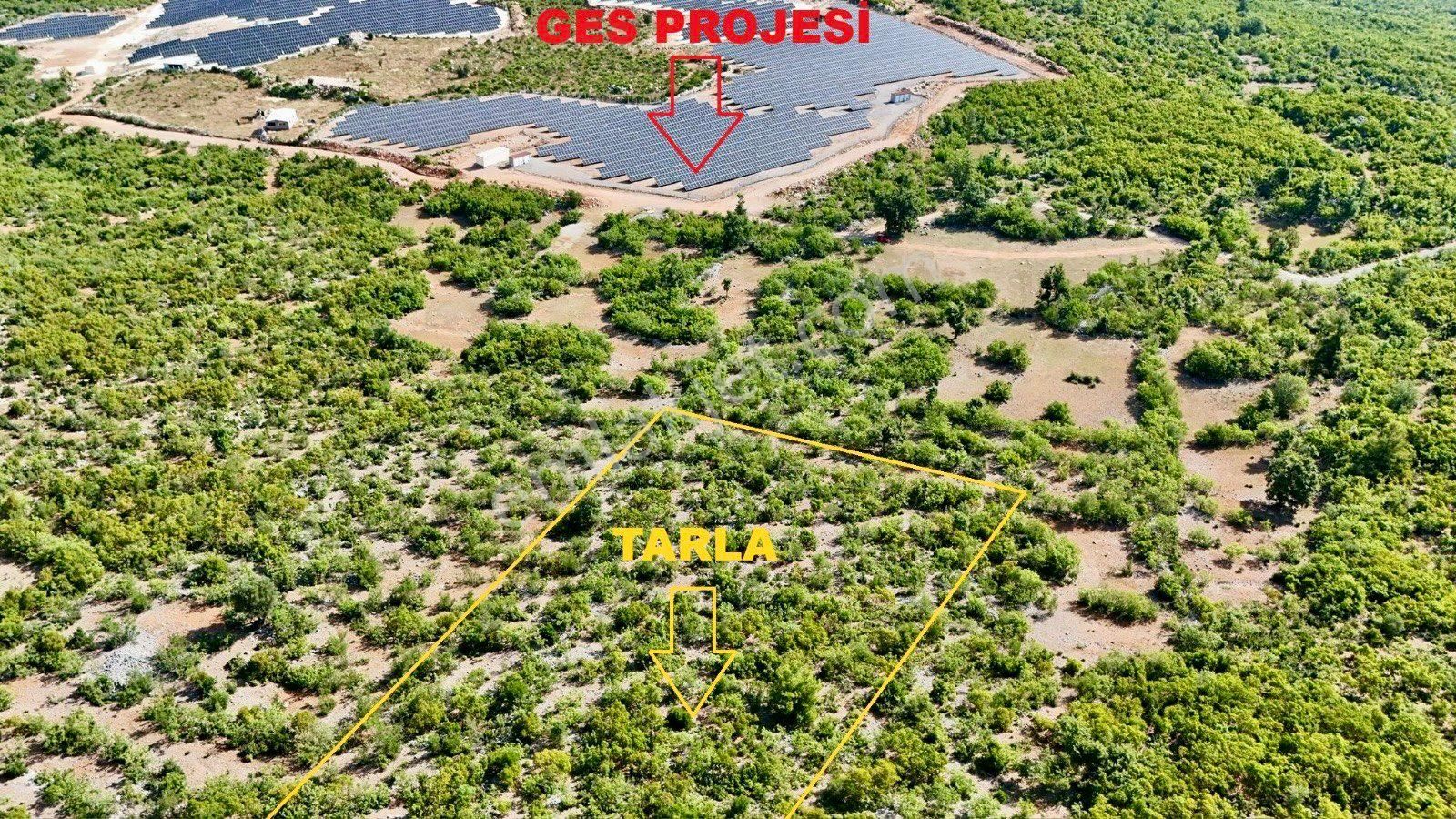 Alanya Karamanlarda Satılık 6.300 M2 Müstakil Tarla