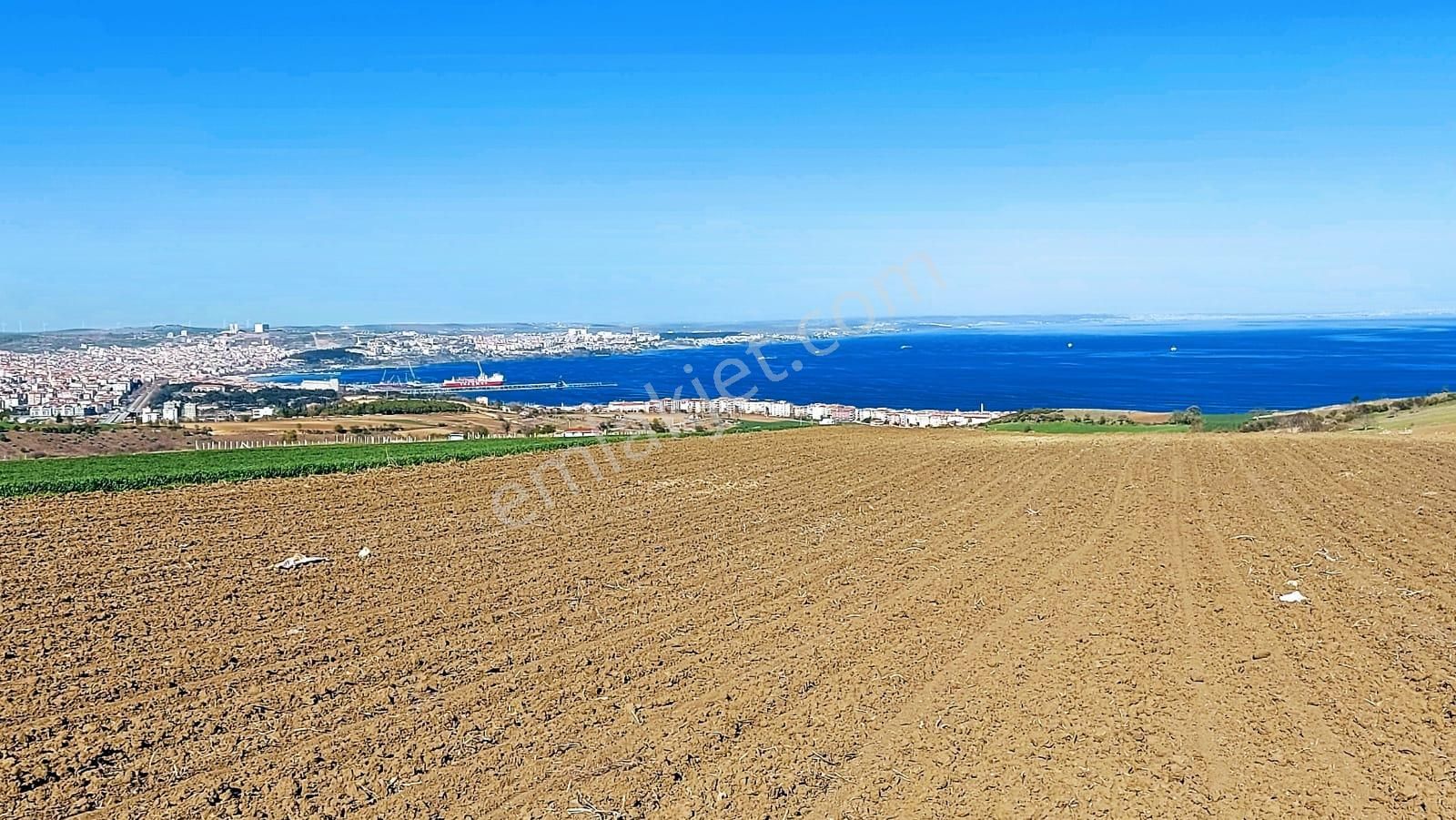 Acil Satılık Tekirdağ Barbarosta 6.400 M2 Villa İmarlı Arazi