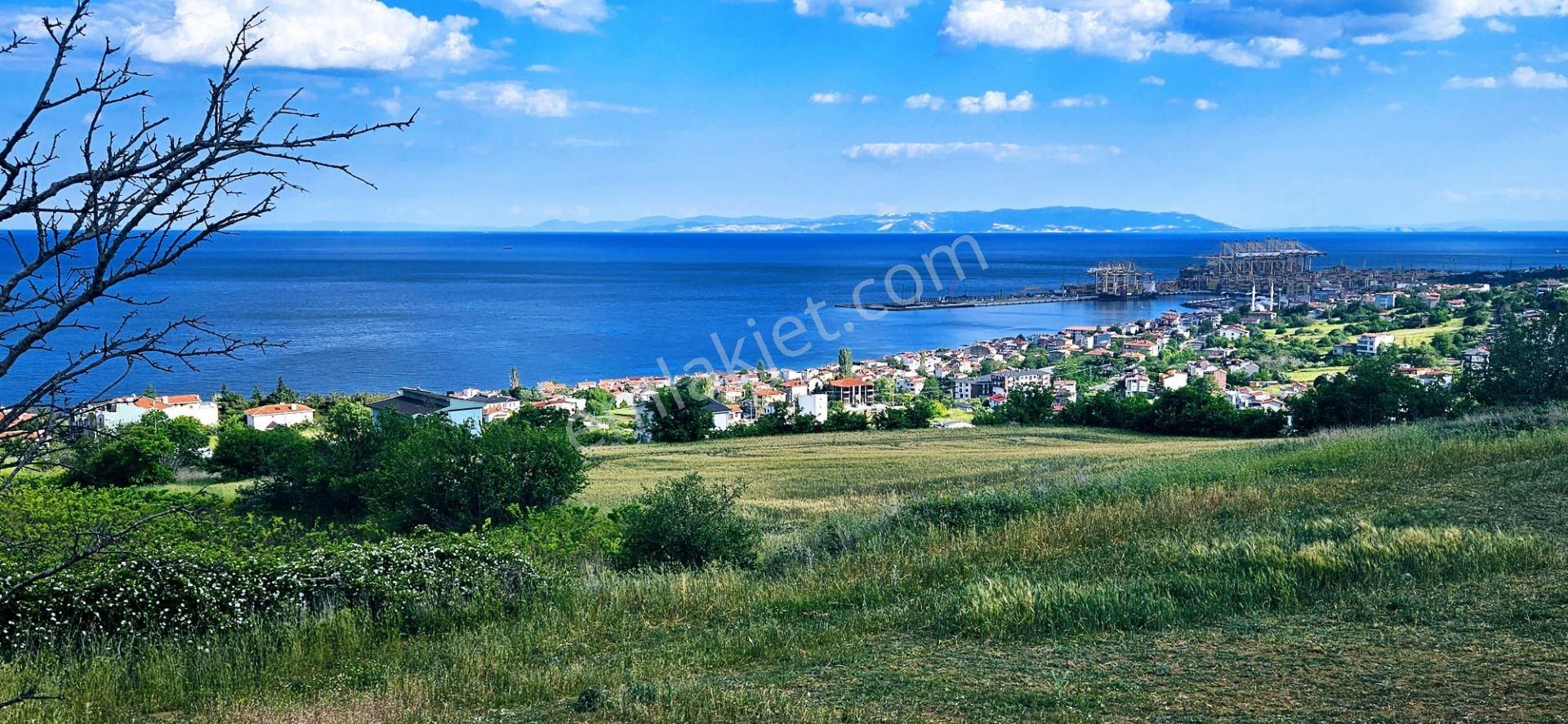 Acil Satılık Tekirdağ Barbarsta 45 Dairelik Kooparetif Sıte Yapımına Uygun Arazi