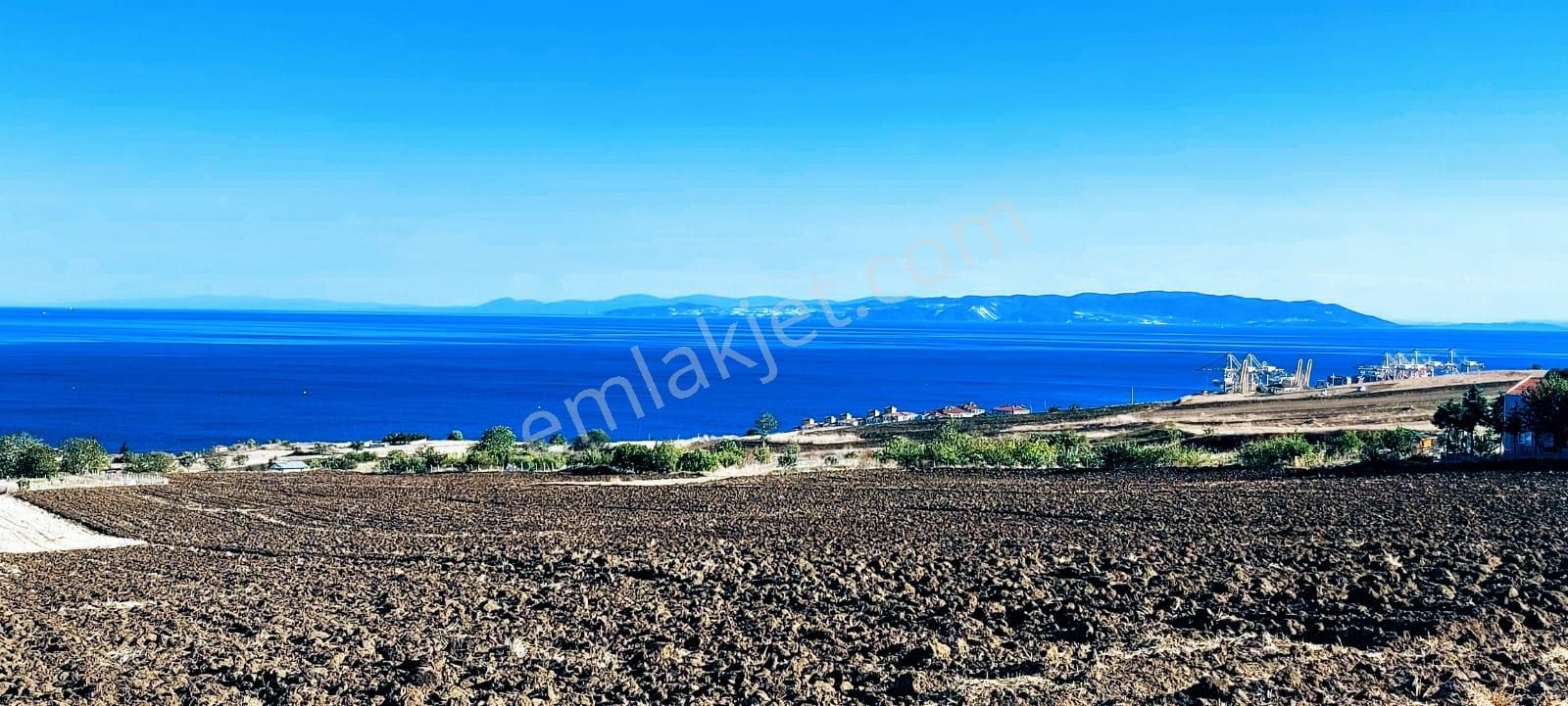 Kooparetif & Site Yapımına Uygun 7.100 M2 Konut İmarlı Arazi