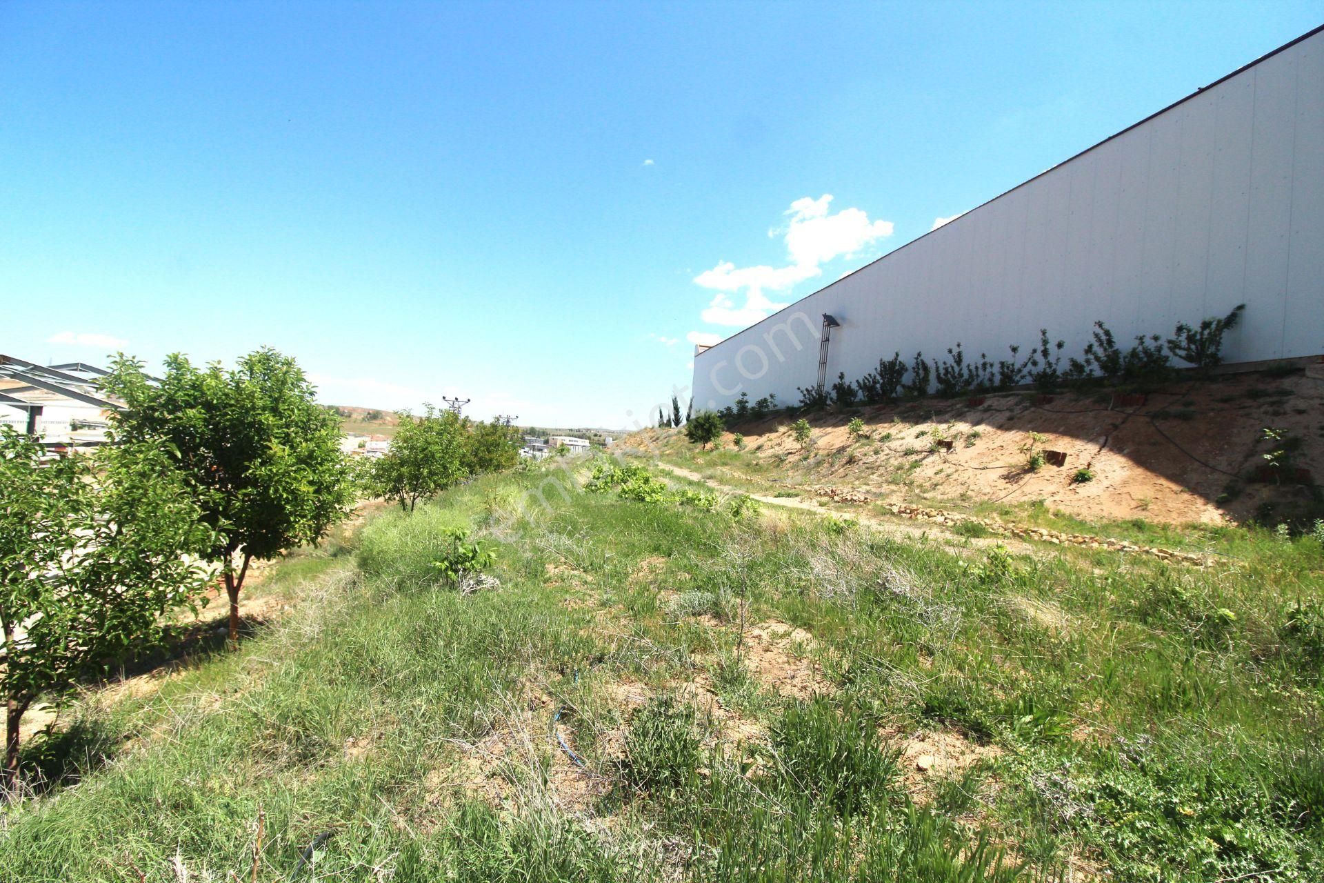 Kiralık Fabrika 3000m2 İki Hol 8m Yükseklik Keskin Osb Kırıkkale - Görsel 13