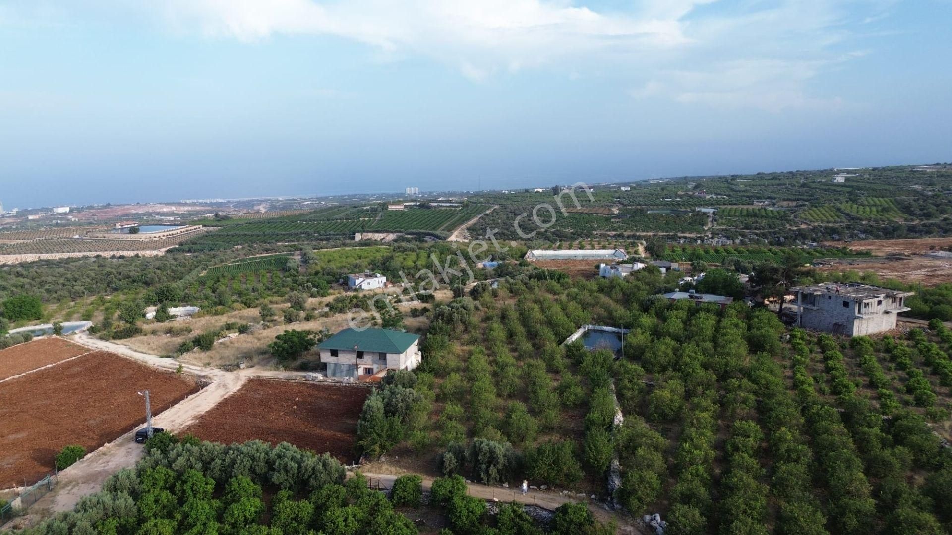 Erdemli Batısandal'da Villa İmarlı Satılık Limon Bahçesi... - Görsel 21