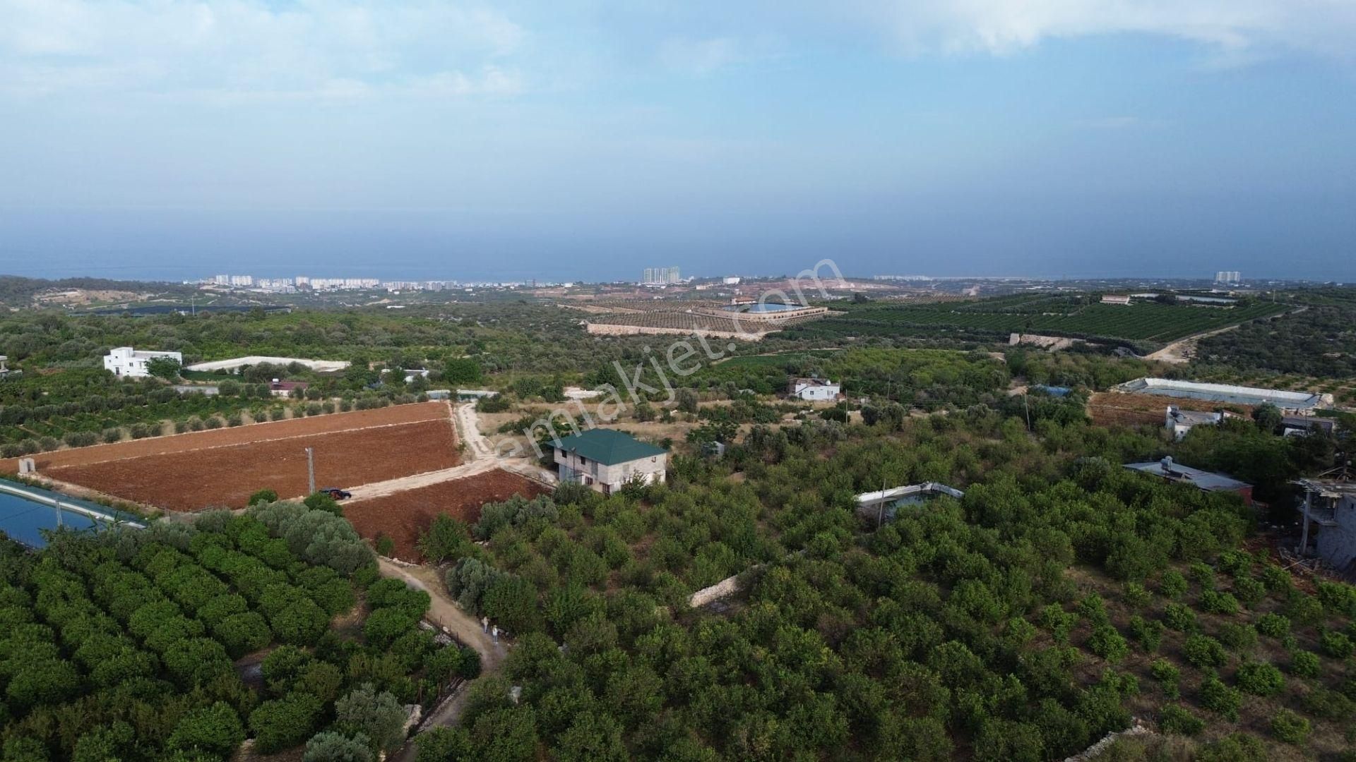 Erdemli Batısandal'da Villa İmarlı Satılık Limon Bahçesi... - Görsel 8