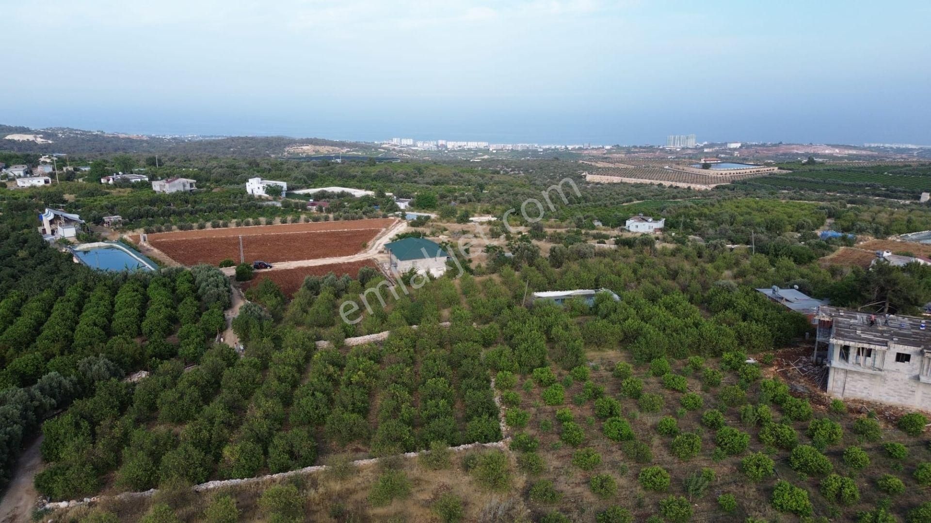 Erdemli Batısandal'da Villa İmarlı Satılık Limon Bahçesi... - Görsel 7