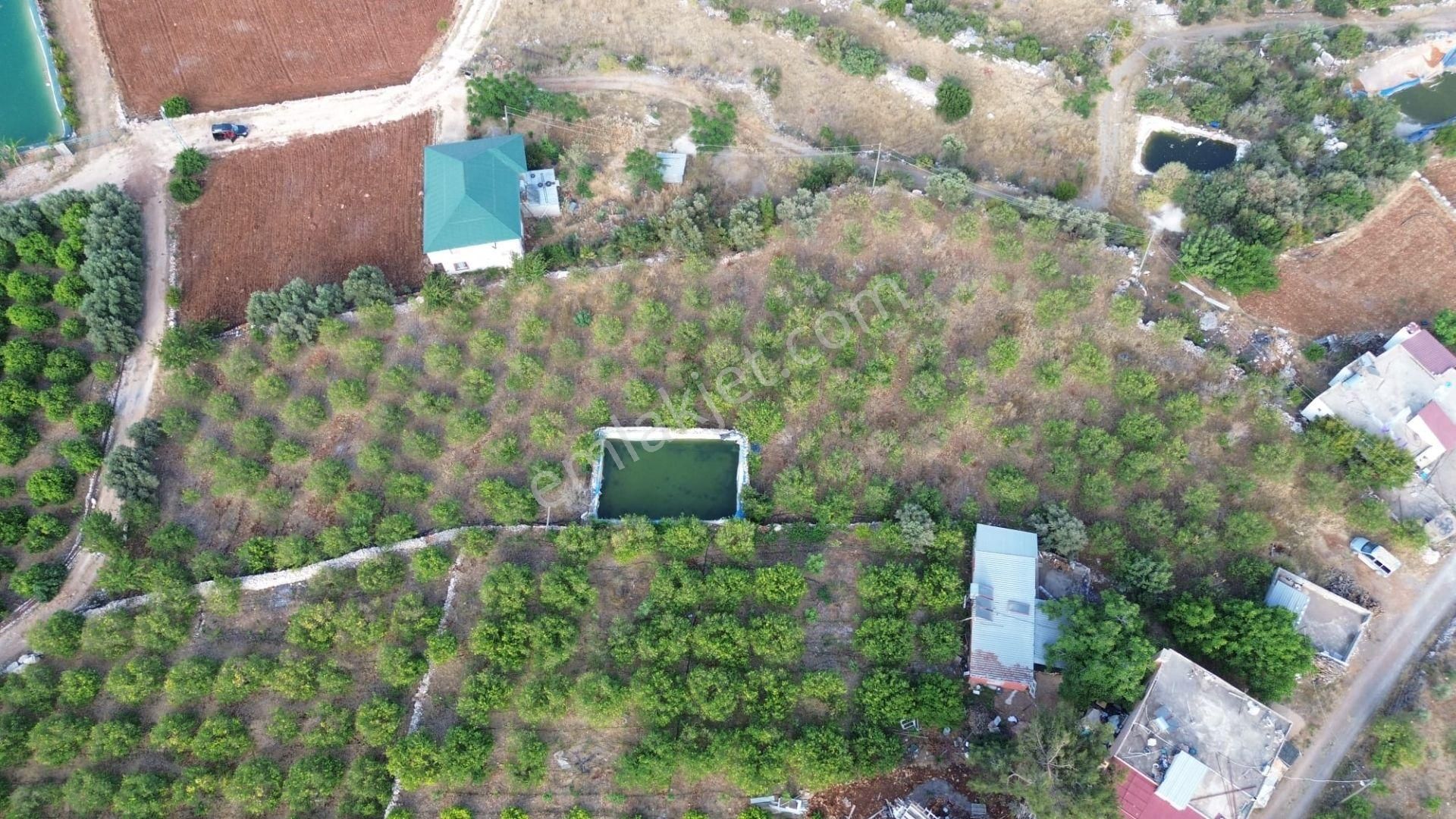 Erdemli Batısandal'da Villa İmarlı Satılık Limon Bahçesi... - Görsel 23