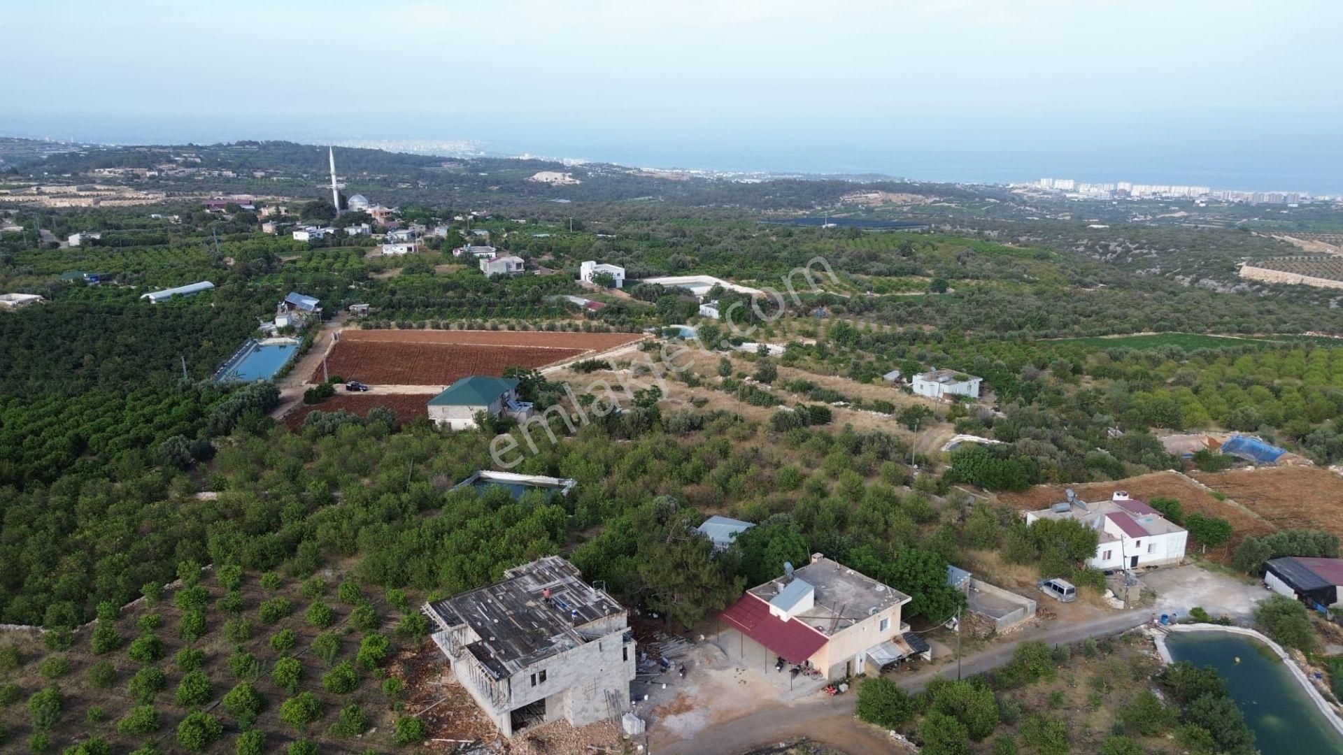 Erdemli Batısandal'da Villa İmarlı Satılık Limon Bahçesi... - Görsel 17