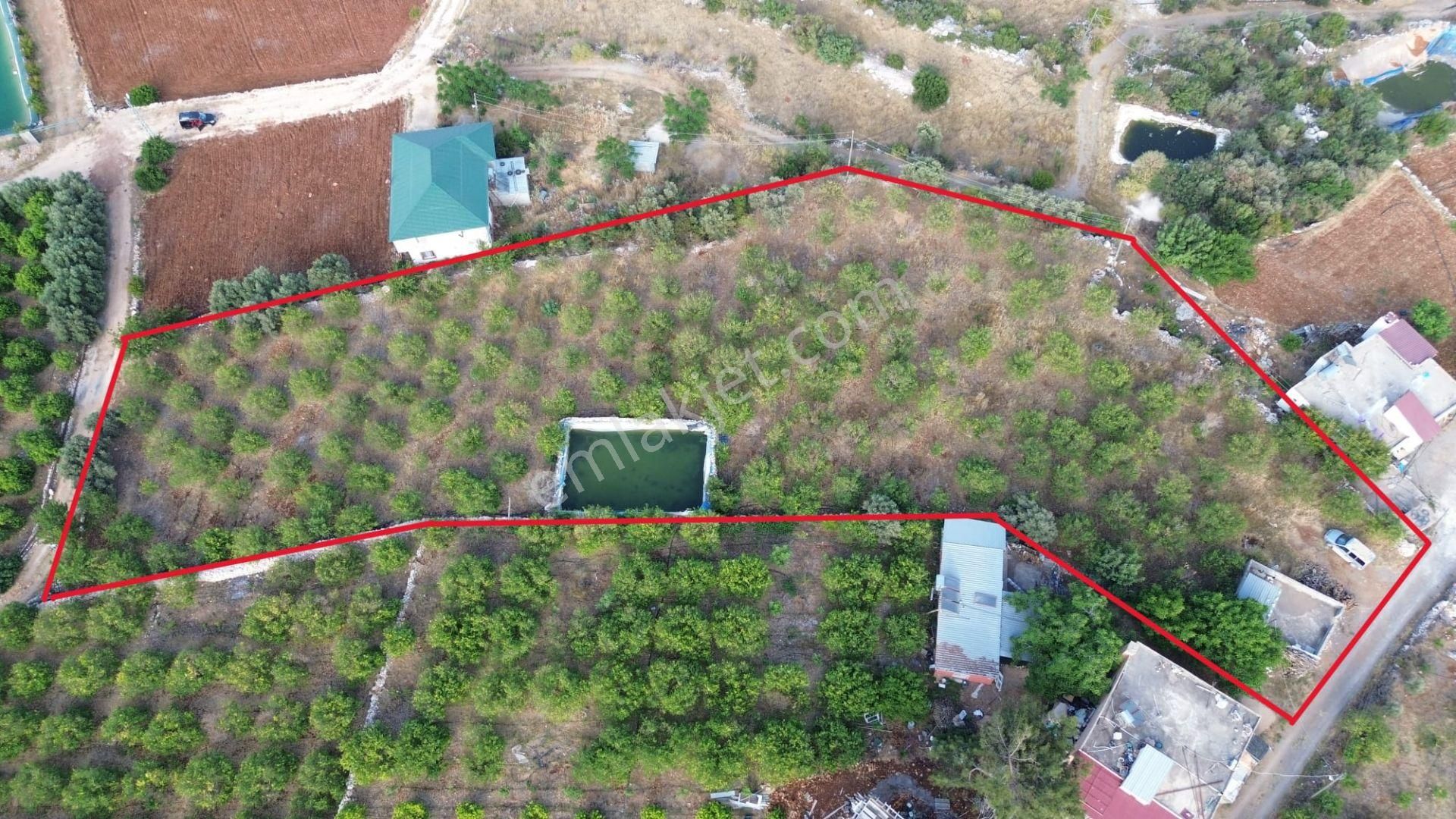 Erdemli Batısandal'da Villa İmarlı Satılık Limon Bahçesi... - Görsel 2