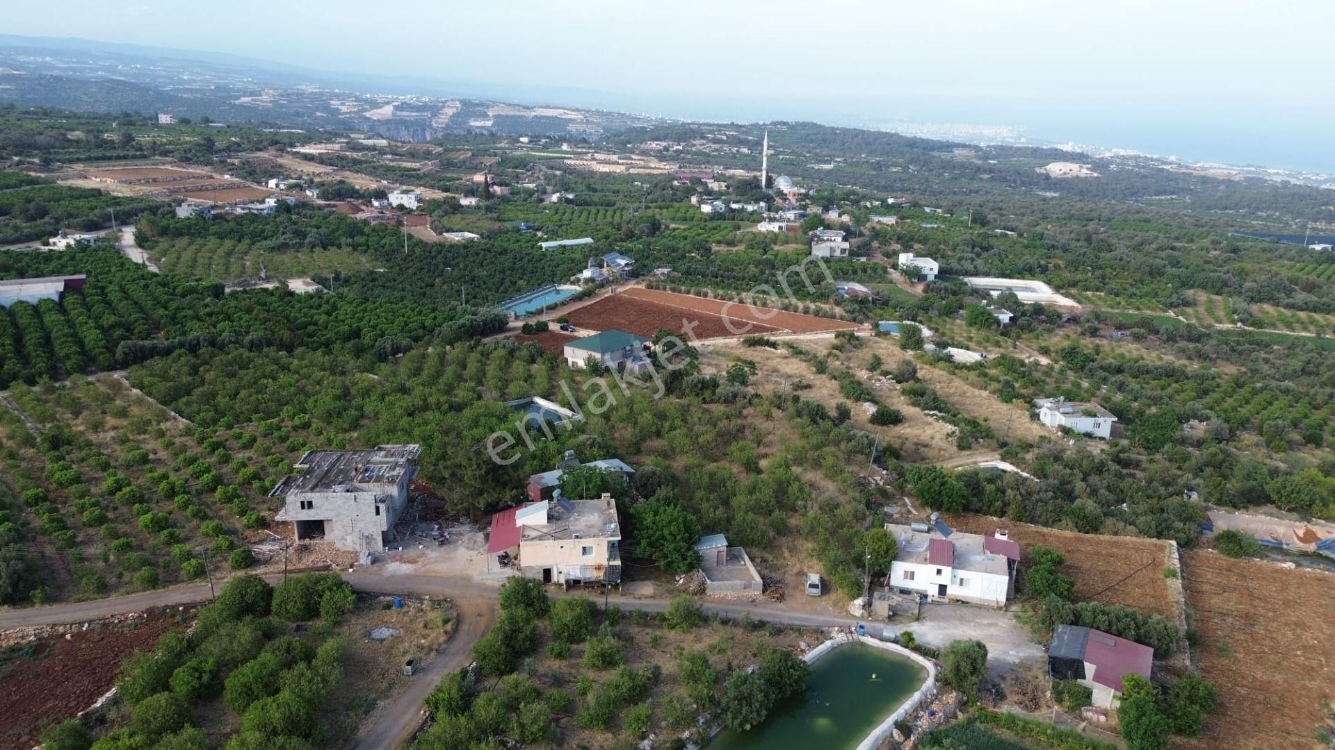 Erdemli Batısandal'da Villa İmarlı Satılık Limon Bahçesi... - Görsel 10