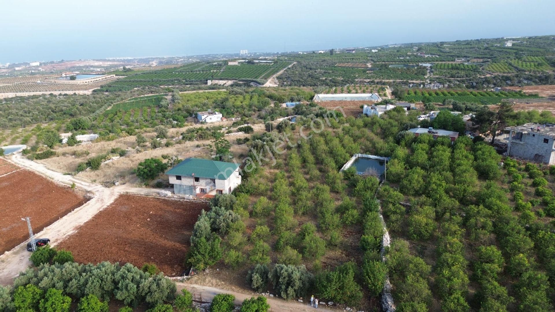 Erdemli Batısandal'da Villa İmarlı Satılık Limon Bahçesi... - Görsel 20