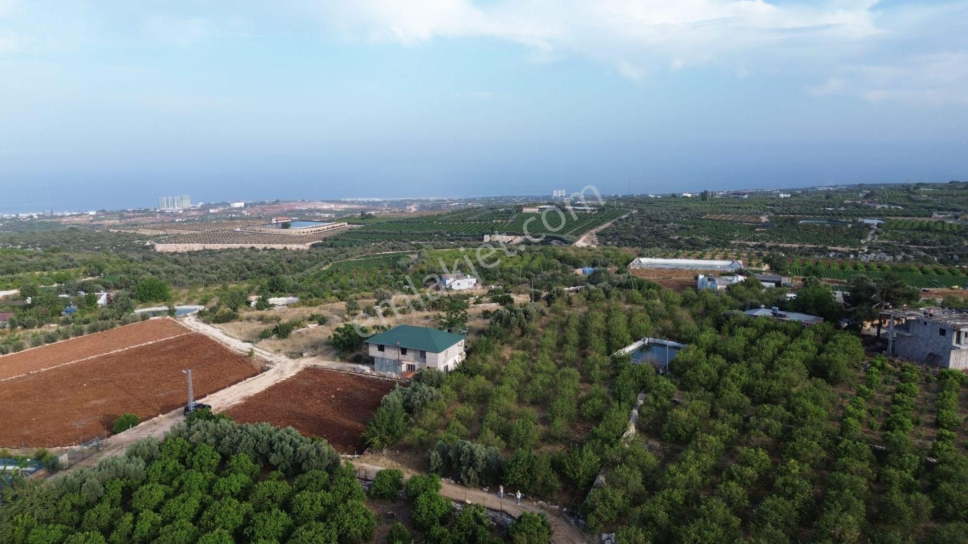 Erdemli Batısandal'da Villa İmarlı Satılık Limon Bahçesi... - Görsel 6