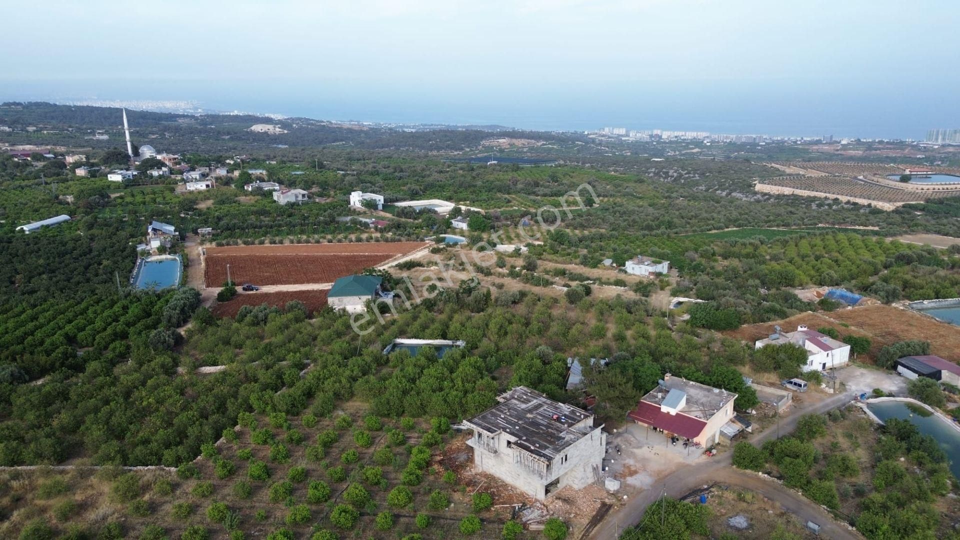 Erdemli Batısandal'da Villa İmarlı Satılık Limon Bahçesi... - Görsel 13