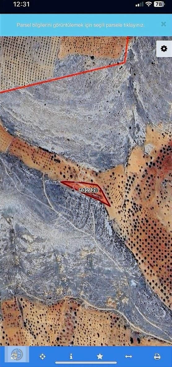 Şehitkamil Günbulurda İki Tapu Fiyat Uygun