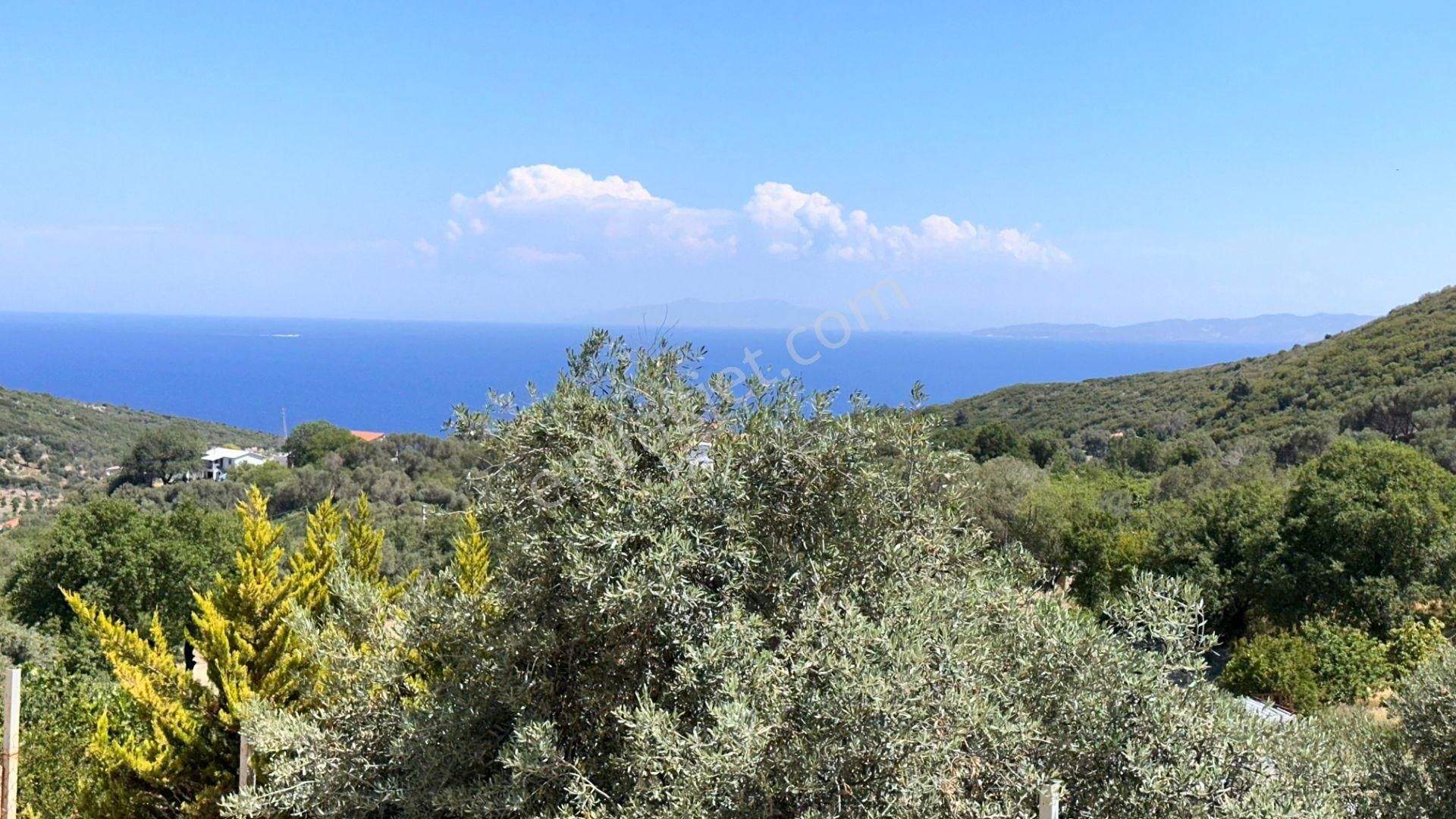 Eğlenhoca Mahallesi'nde 505 M² İçerisinde Tam Müstakil Villa - Görsel 15