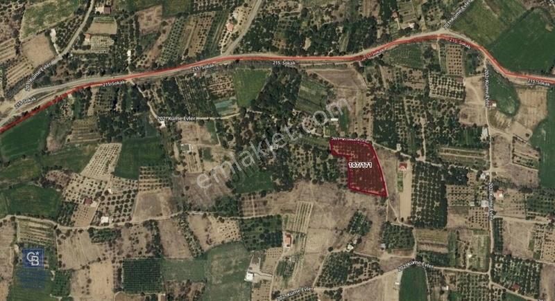 Cb Anatolia / Yeşilhisar Dağılgan'da 5987m² Bağ