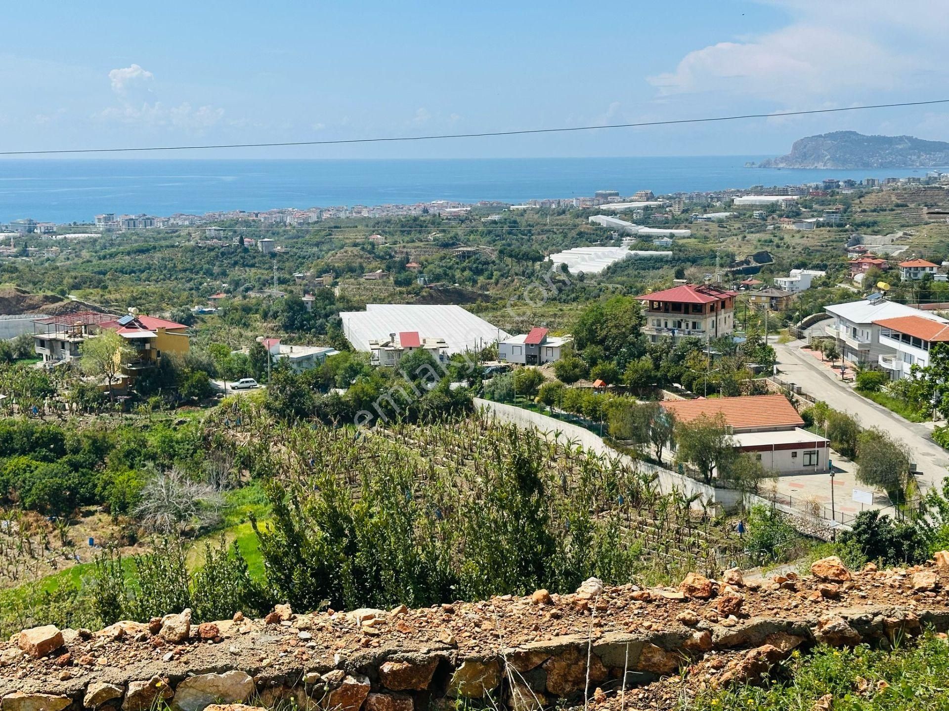 Alanya Da Deniz Manzaralı Doğa İçinde Tarla - Görsel 4