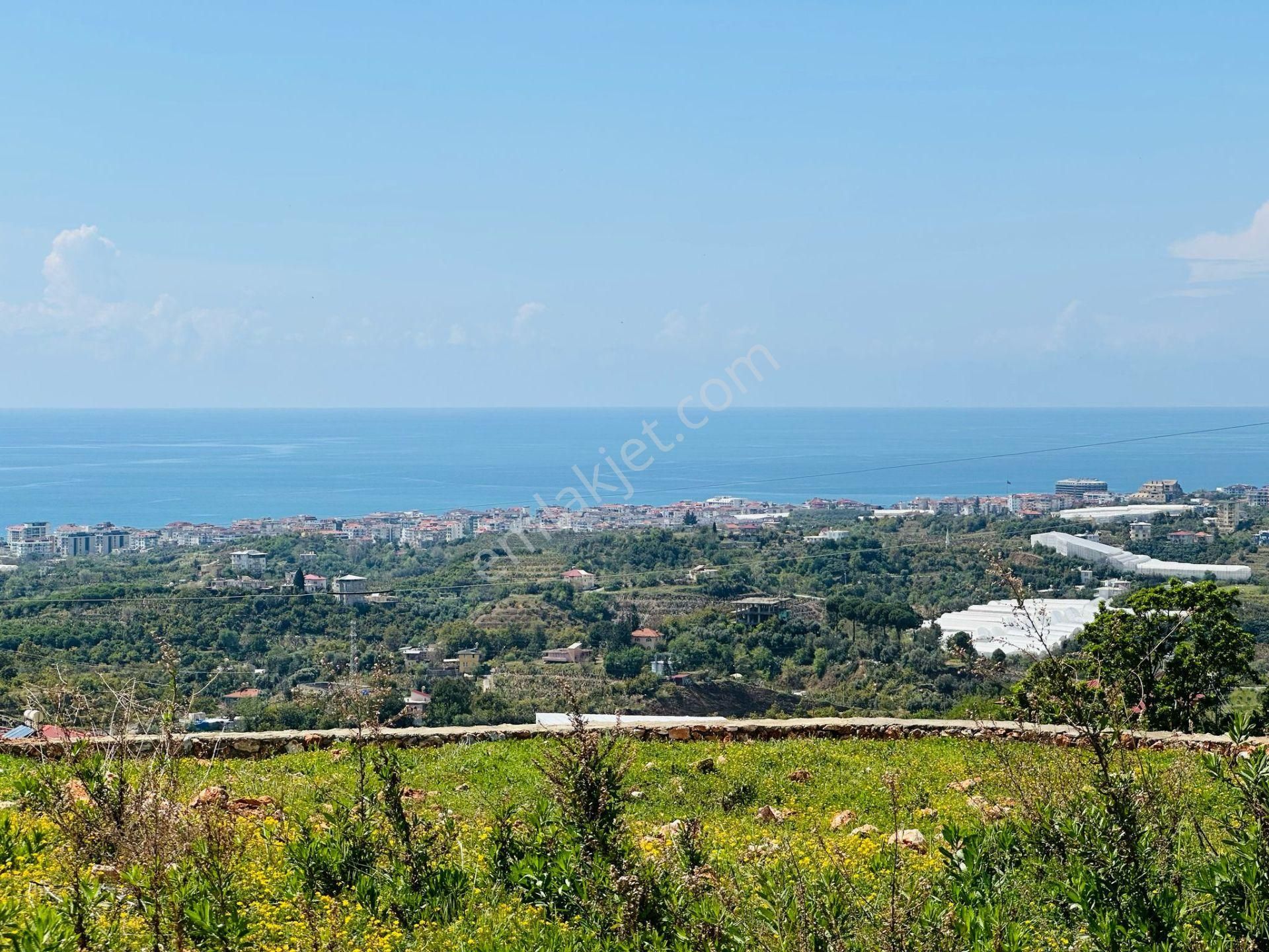 Alanya Da Deniz Manzaralı Doğa İçinde Tarla