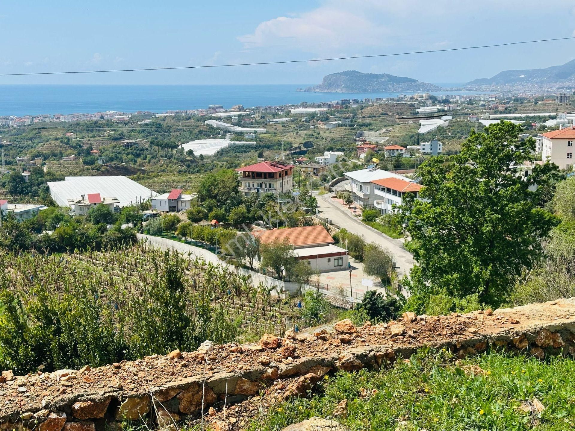 Alanya Da Deniz Manzaralı Doğa İçinde Tarla - Görsel 3