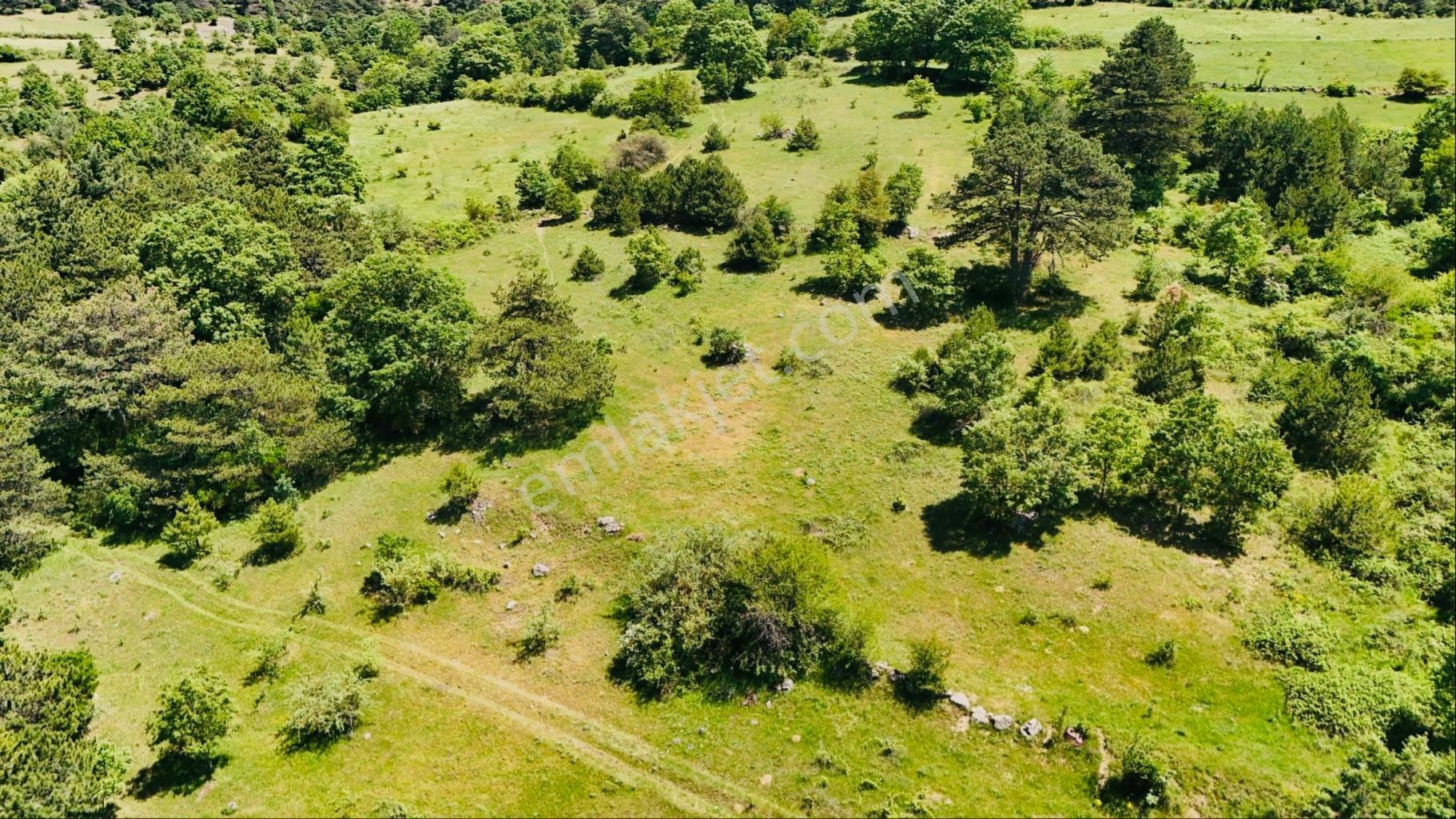 **balıkesir Sındırgı Kertil’de 8.365 M2 Kupon Yer**