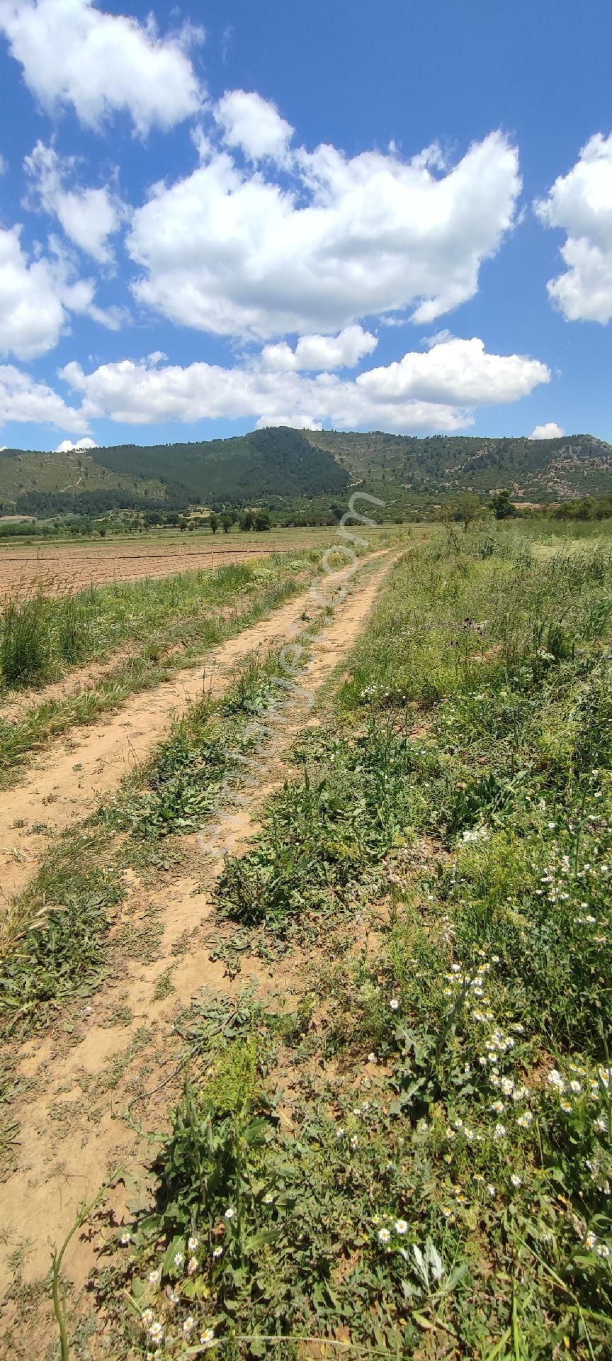 Burdur Ağlasun Hisarköy'de Yatırımlık Satılık Arazilerimiz - Görsel 7