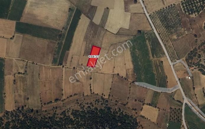 Burdur Ağlasun Hisarköy'de Yatırımlık Satılık Arazilerimiz - Görsel 4