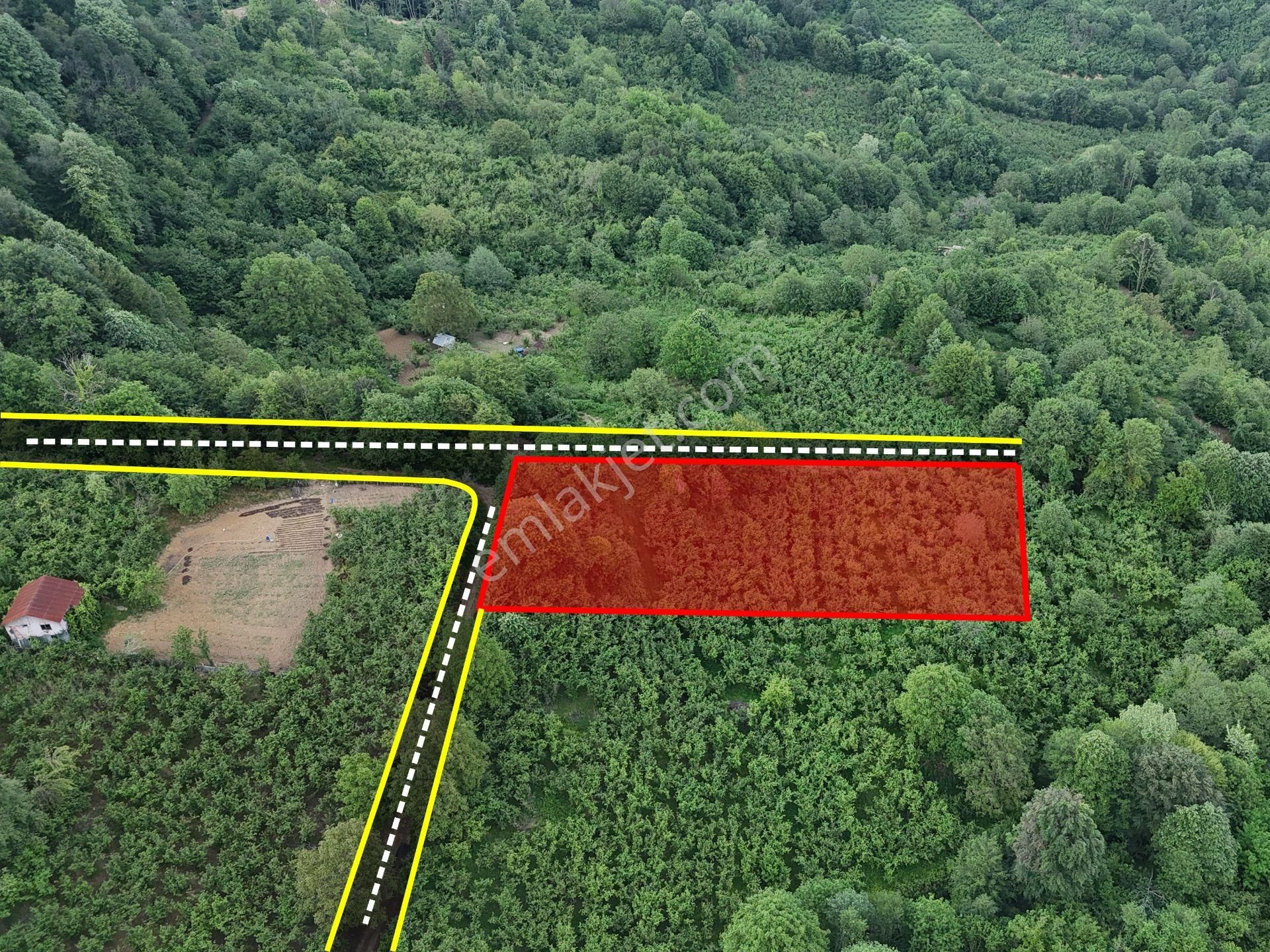 Tapuhaneden Şekerpınar Mah. De Satılık 1350 M2 Arsa !!