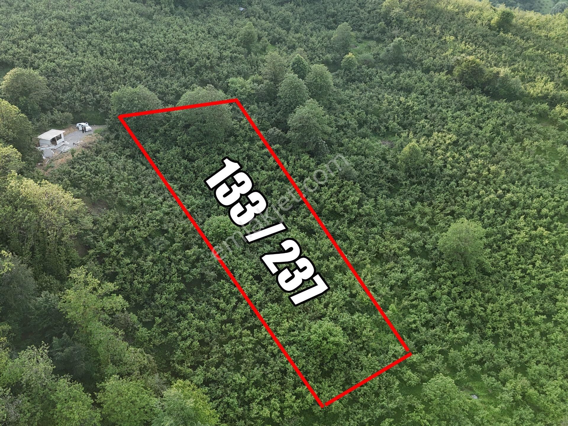 Tapuhaneden Şekerpınar Mah. De Satılık 1350 M2 Arsa !!