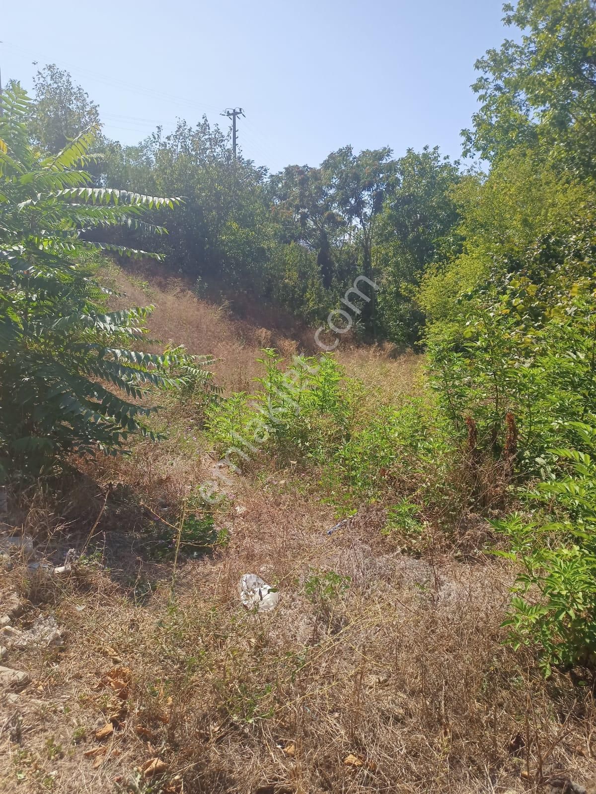 Geyve Epçeler Mahallesinde İmarlı Arsa
