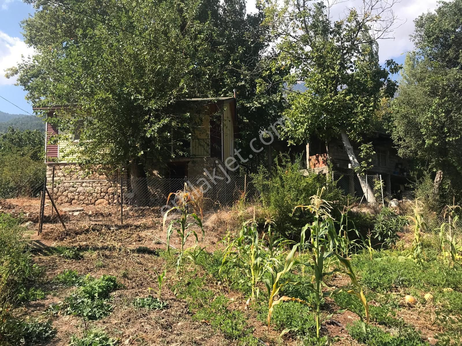 Hisar Çandır - Görsel 8