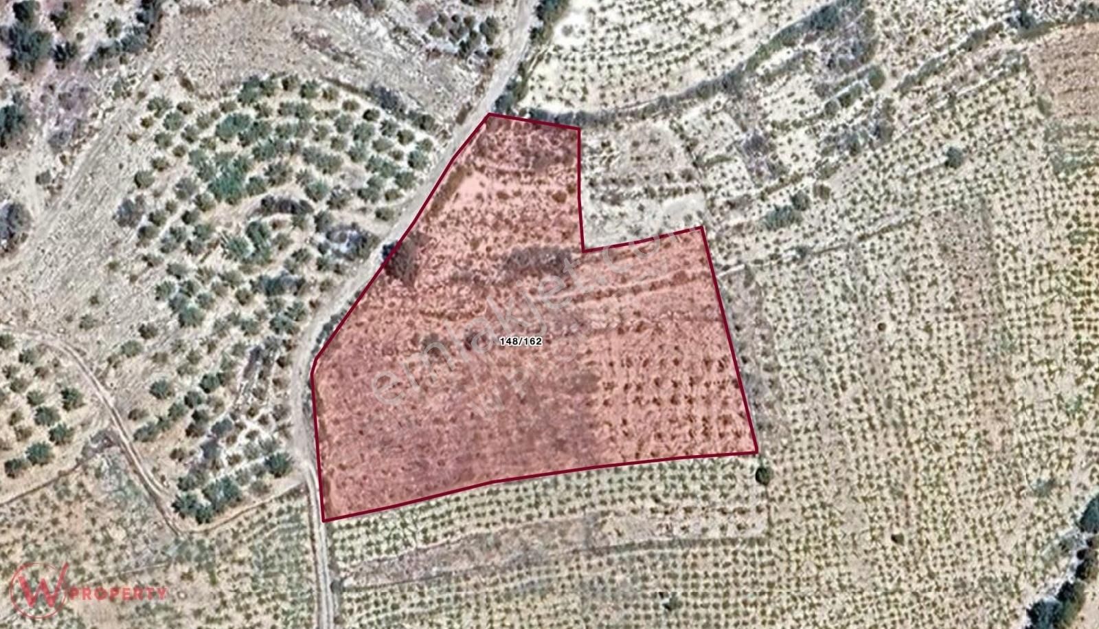 W Property'den Konut Yapımına Uygun 5735 M2 Ceviz Bahçesi