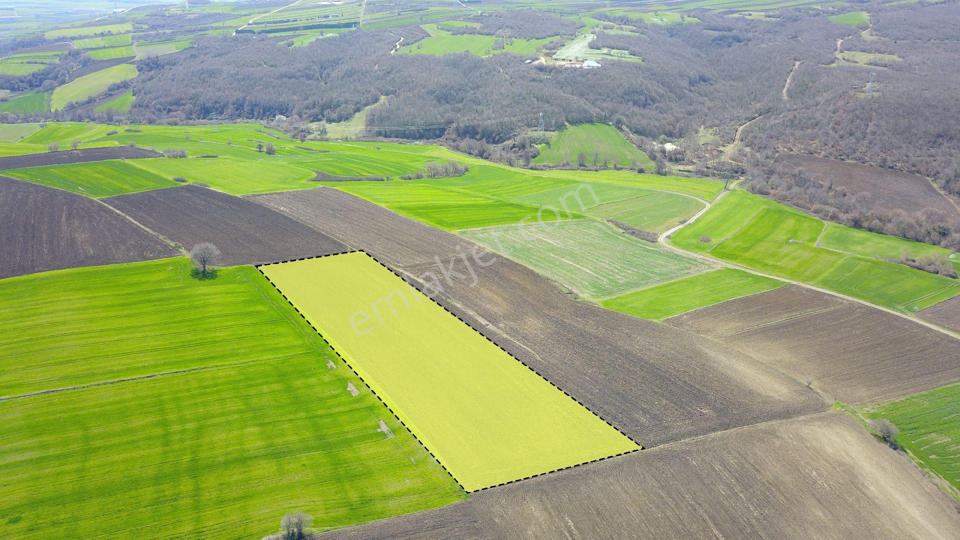 Ege Gayrimenkul'den Silivride 12600 M2 Tarla