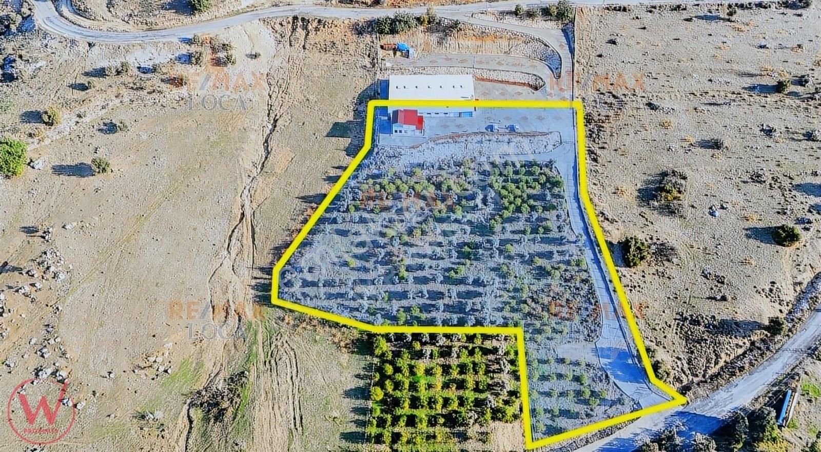 W Property'den 9.452m² Arazi-ofis Binası Zemin+1