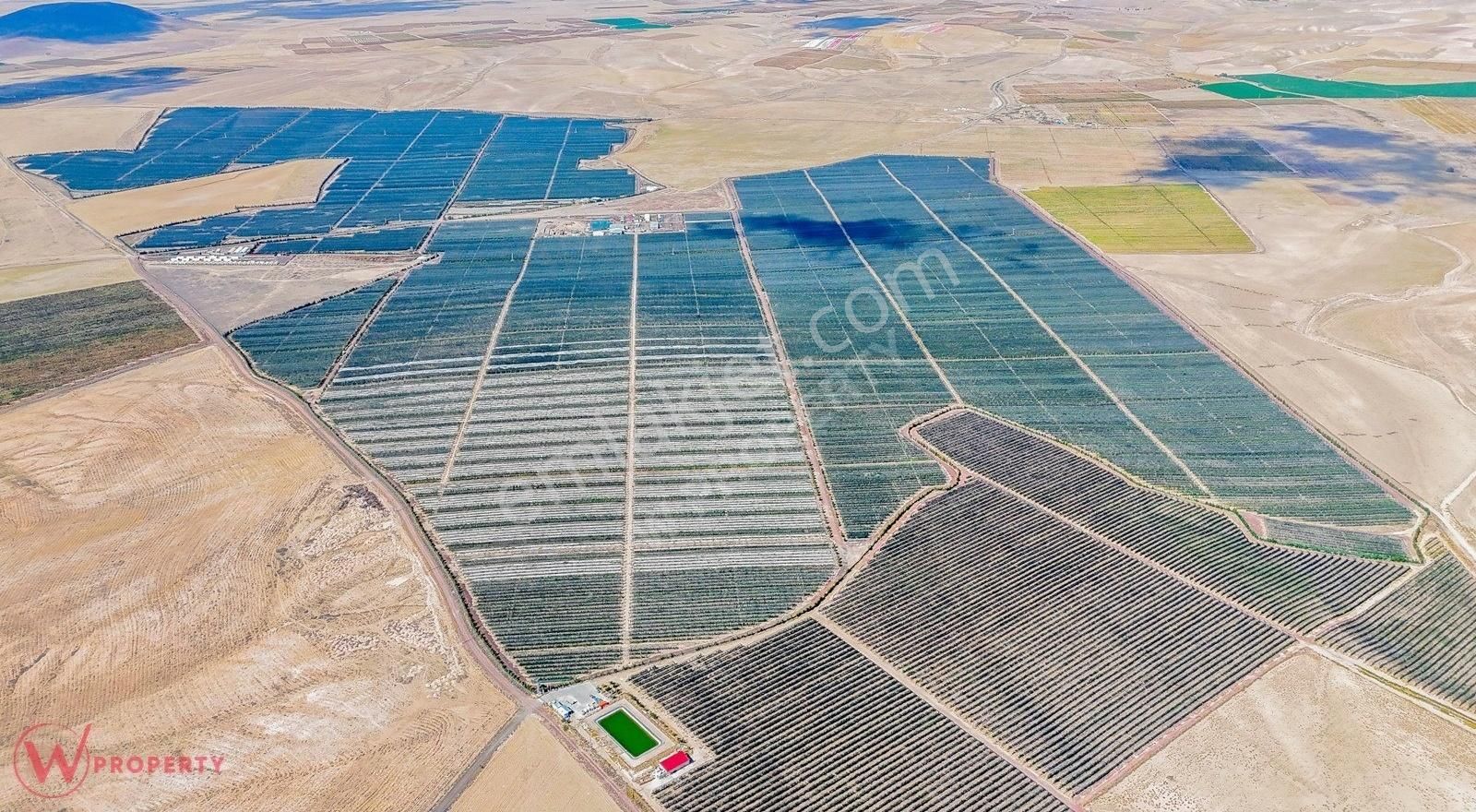 W Property'den Niğde Bor'da 2.291 Dönüm Elma Bahçesi