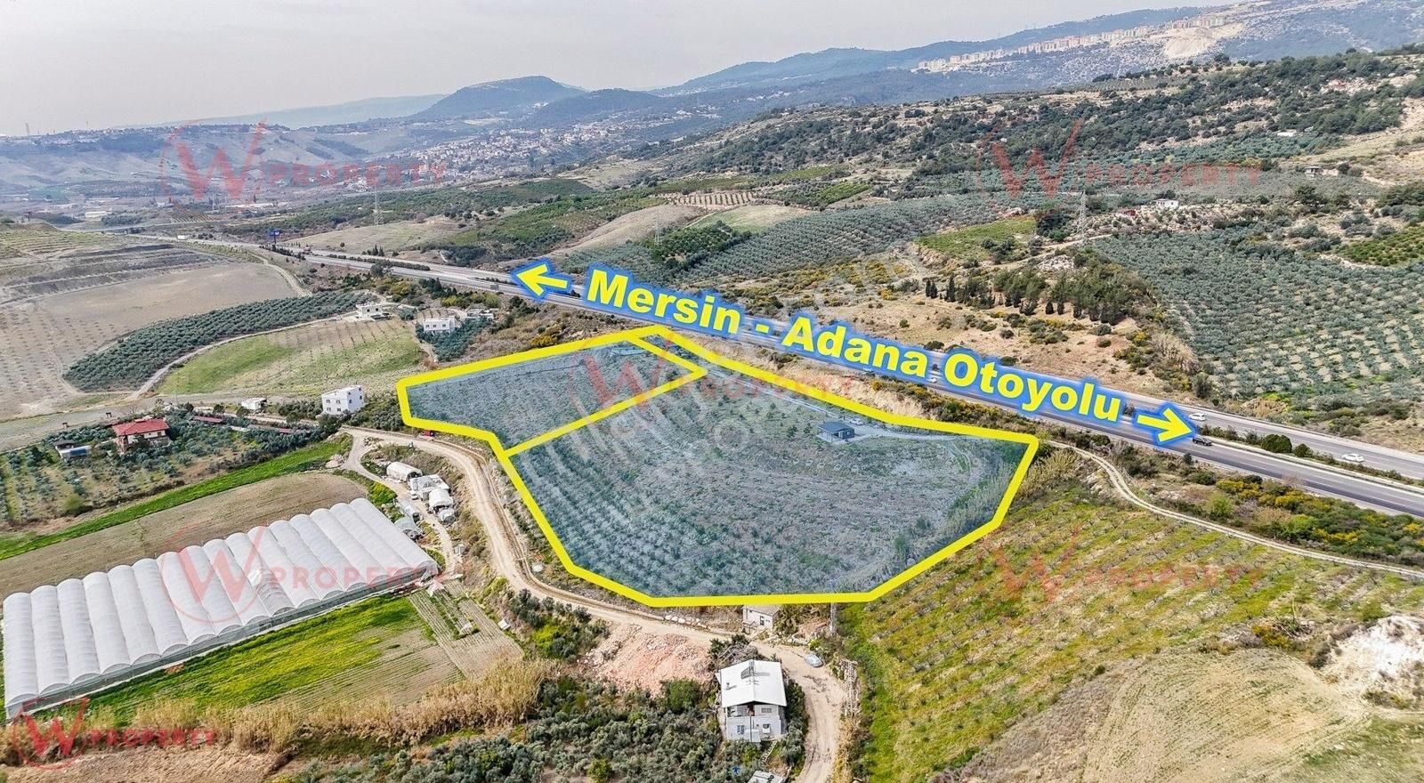 W Property'den Çopurlu'da 16.423 M² Bakımlı Tarım Arazisi