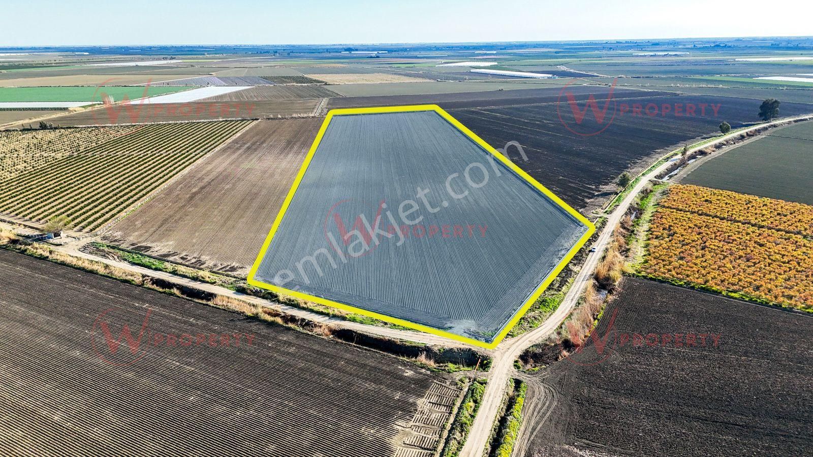 W Property Çukurova Havaalanı Yakını Verimli Ve Yatırımlık Arazi