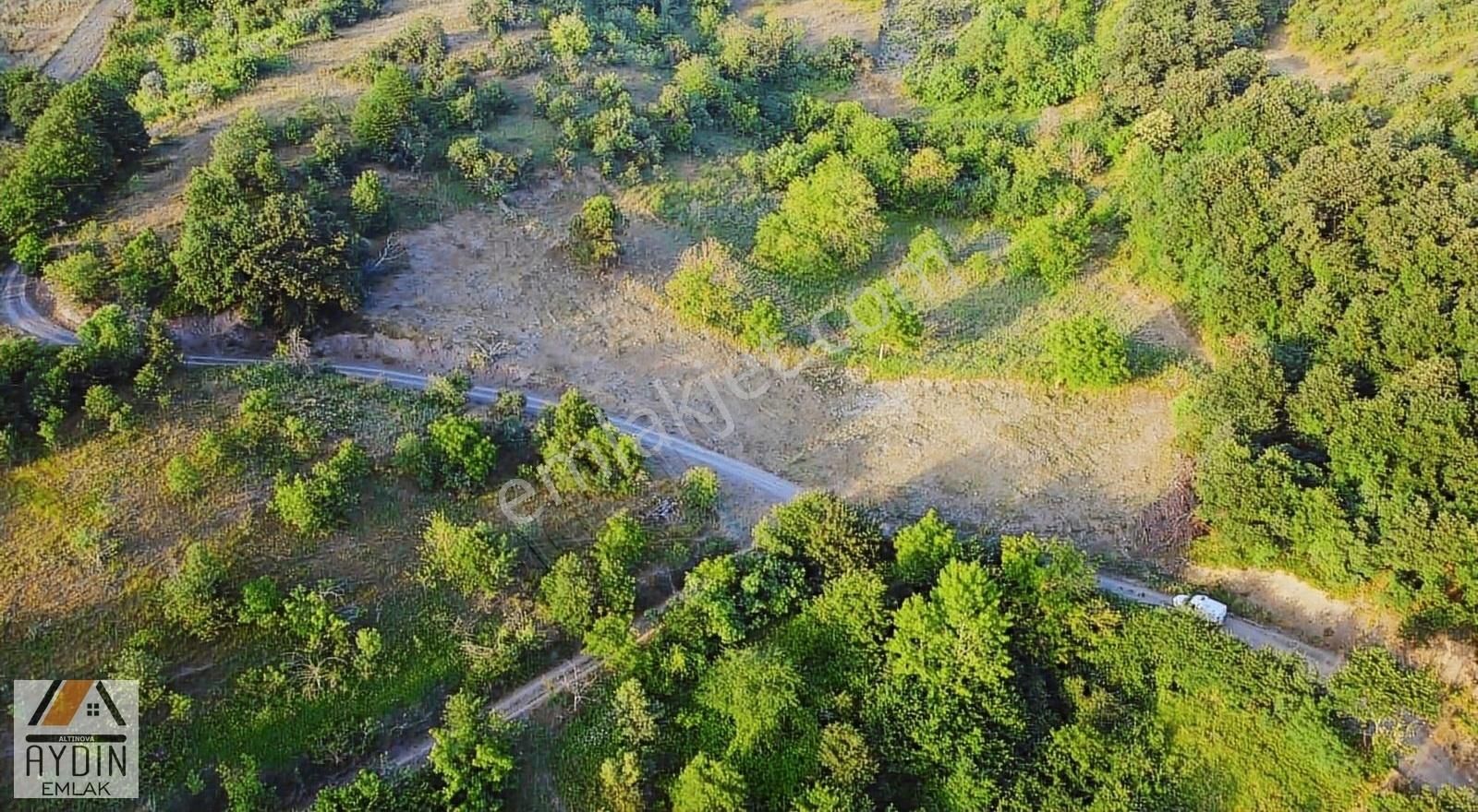 Doğa İçinde Resmi Yola Cephe 2.5 Kat İmarlı Düz Arsa Takasa Açık