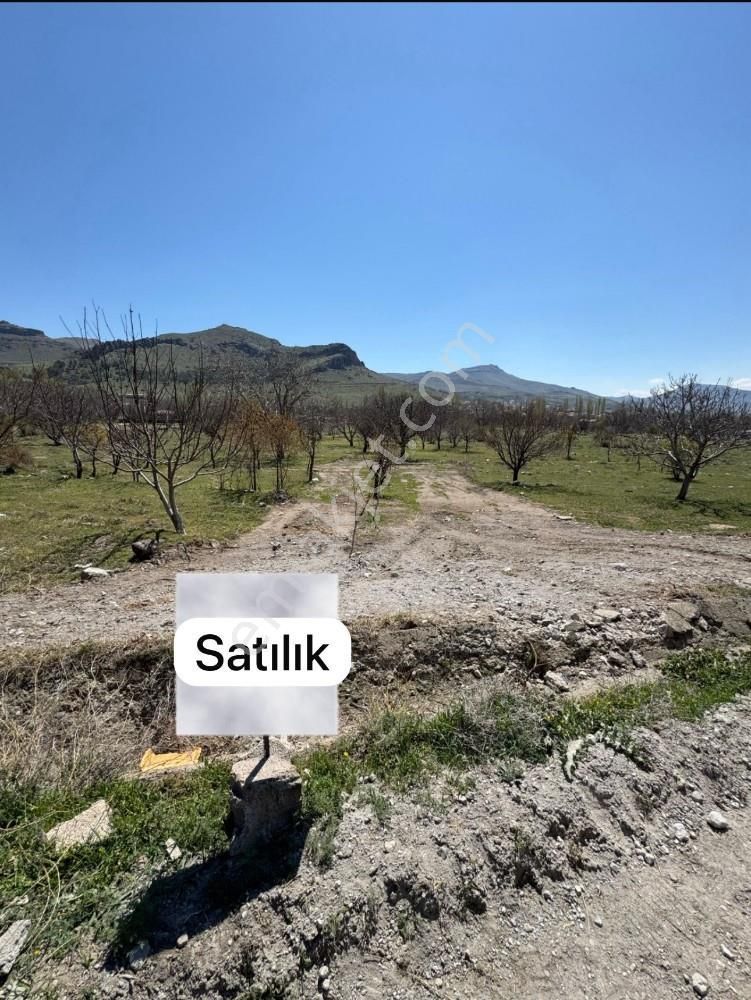 Şehrin İçinde Şehirden Uzak Muhteşem Satılık Hobi Bahçesi