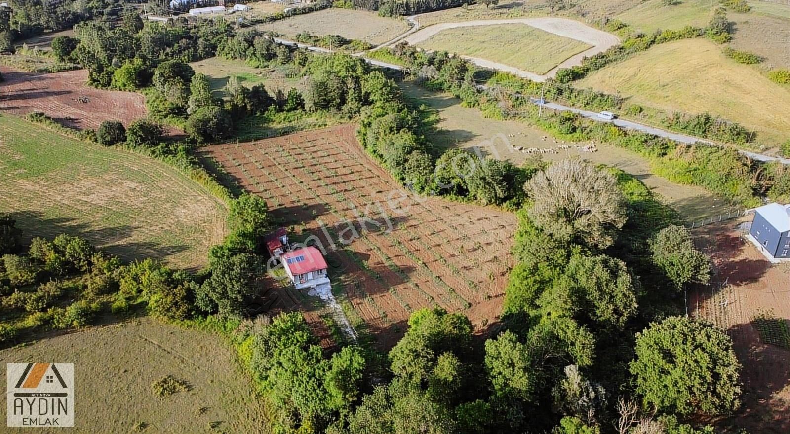 Tek Yetkili, Saklı Cennet İçerisinde 8.074m2 Düz Bahçe