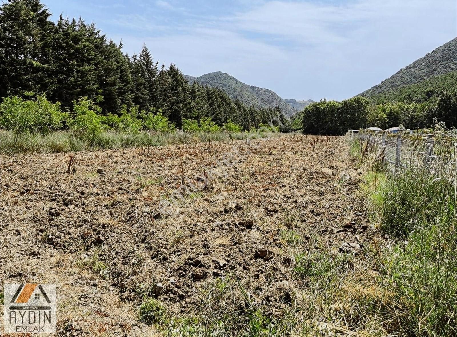 Karadere Köyü Dere Kenarı Eğimsiz Düz Tarla !