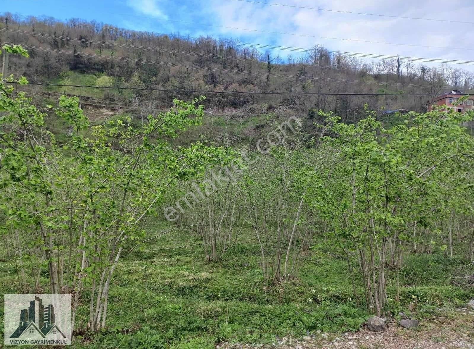 Vizyon'dan Teyneli 8600 M2 Satılık Bahçe